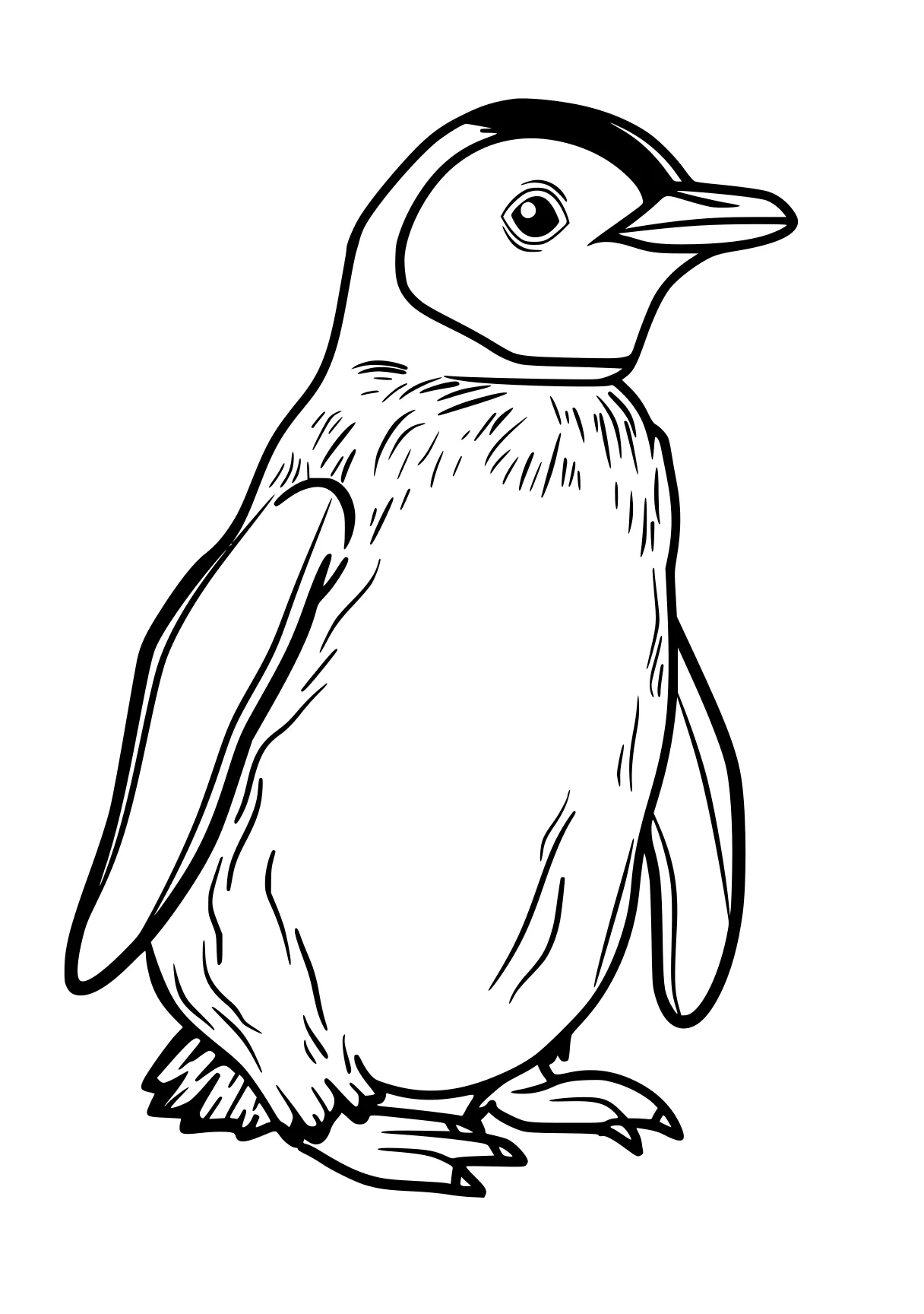 penguin coloring pages penguin, bird, toucan, adult, owl, free page downloads