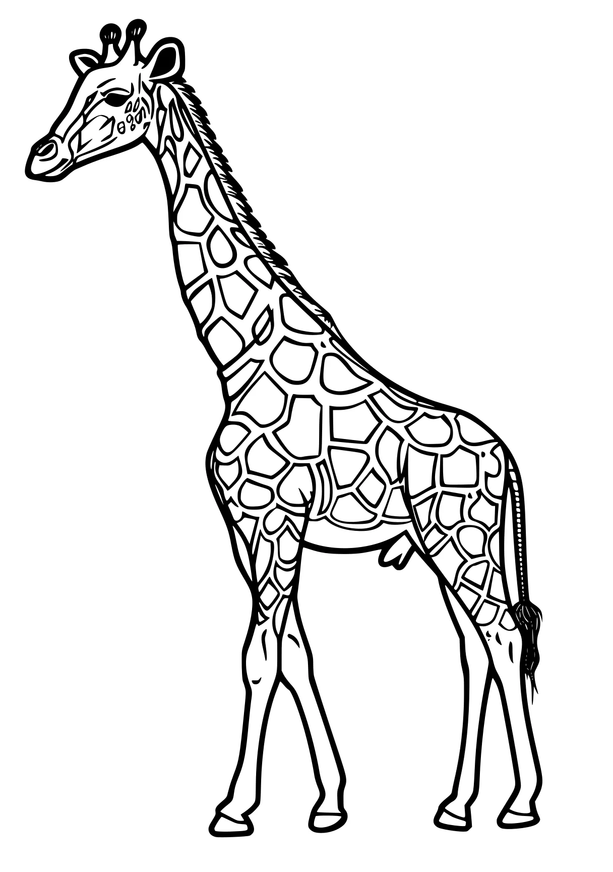 giraffe coloring pages giraffe, llama, brachiosaurus, camel, deer, free page downloads