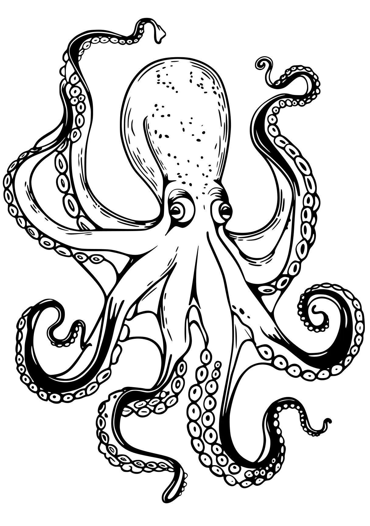 octopus coloring page octopus, illustrator, patrol, design, size, free downloads