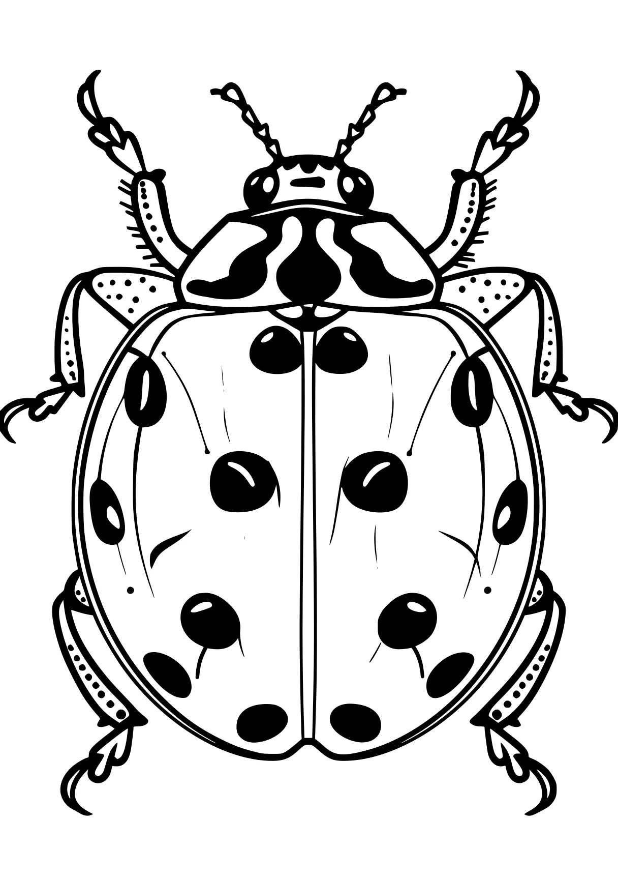 ladybug coloring page ladybug, insects, size, insect, illustrator, free downloads