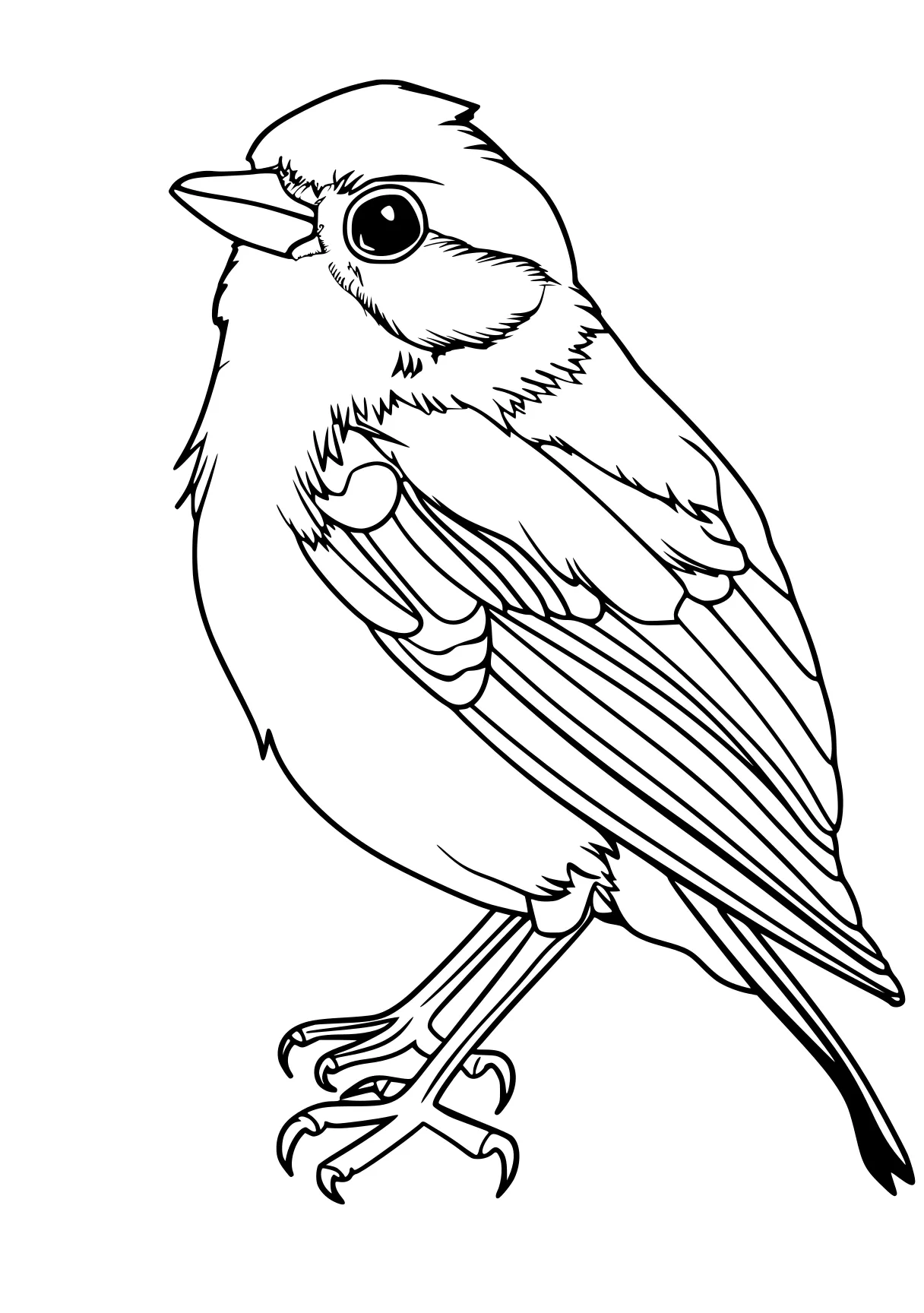 bird coloring pages for adults, KIDS page kids style of book, empty background, super thick black vector lines, and white, Black-and-white Bold Outlined Thick-lined Flat 2D, Simple, Clean, Cartoonish, Unfilled, Solid, Playful  shading shadow text fonts letters watermark words typography slogans strokes sketch signature gray grey dither dithering grayscale 70:99