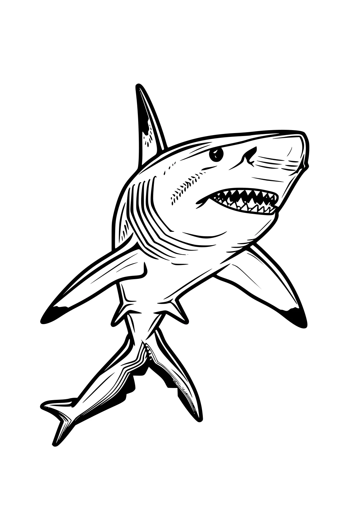 shark coloring page shark, megalodon, sharks, size, jonah, free downloads