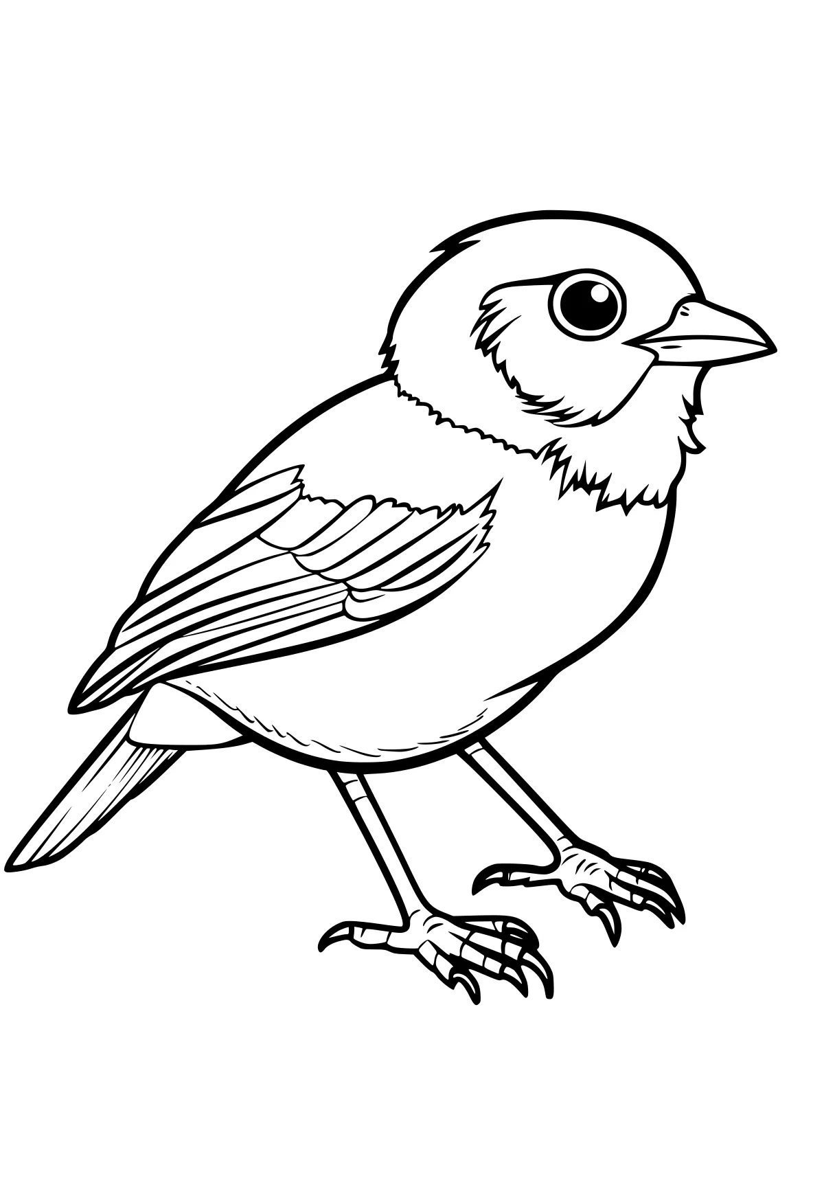 bird coloring pages bird, birds, cardinal, robin, adult, free page downloads