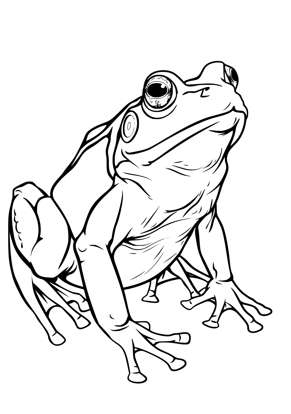 frog coloring sheet frog, toad, leg, gecko, goo, free page downloads