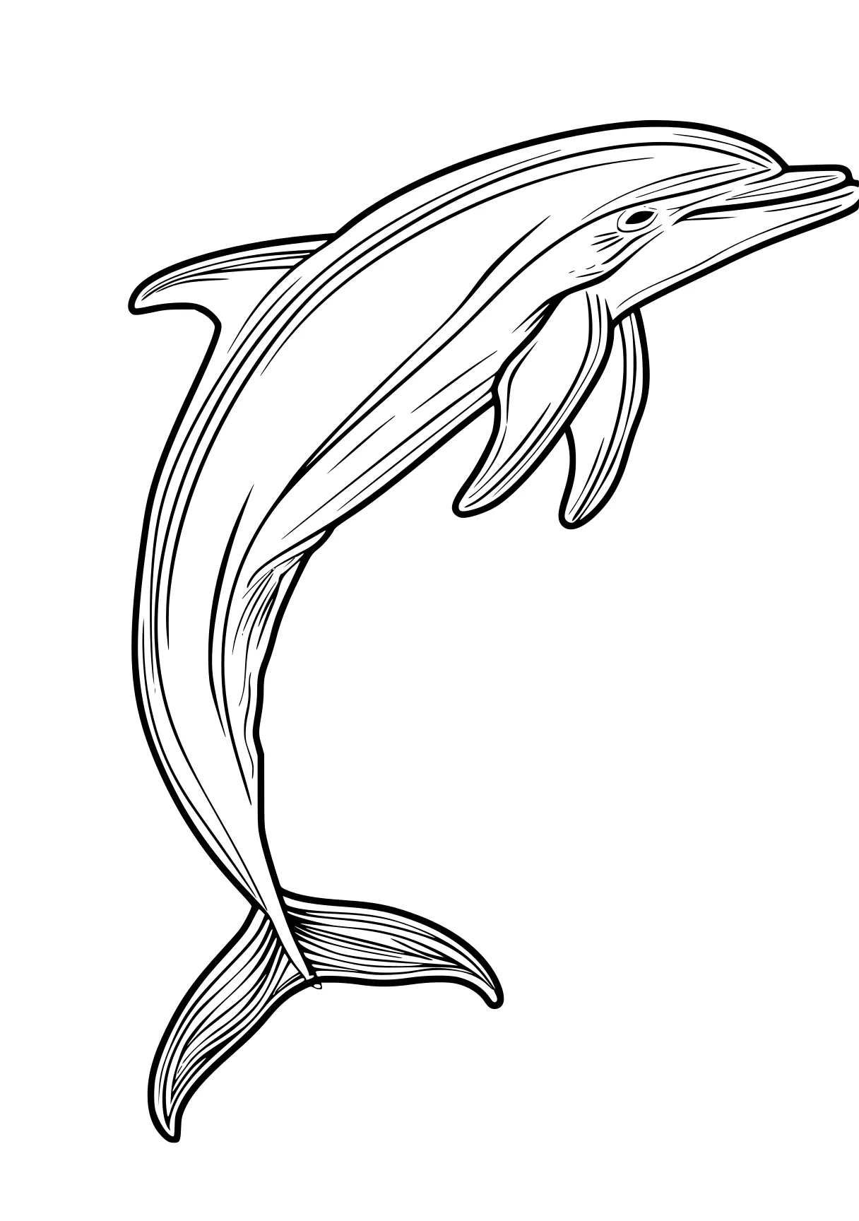 dolphin coloring pages dolphin, whale, mosasaurus, whales, fish, free page downloads