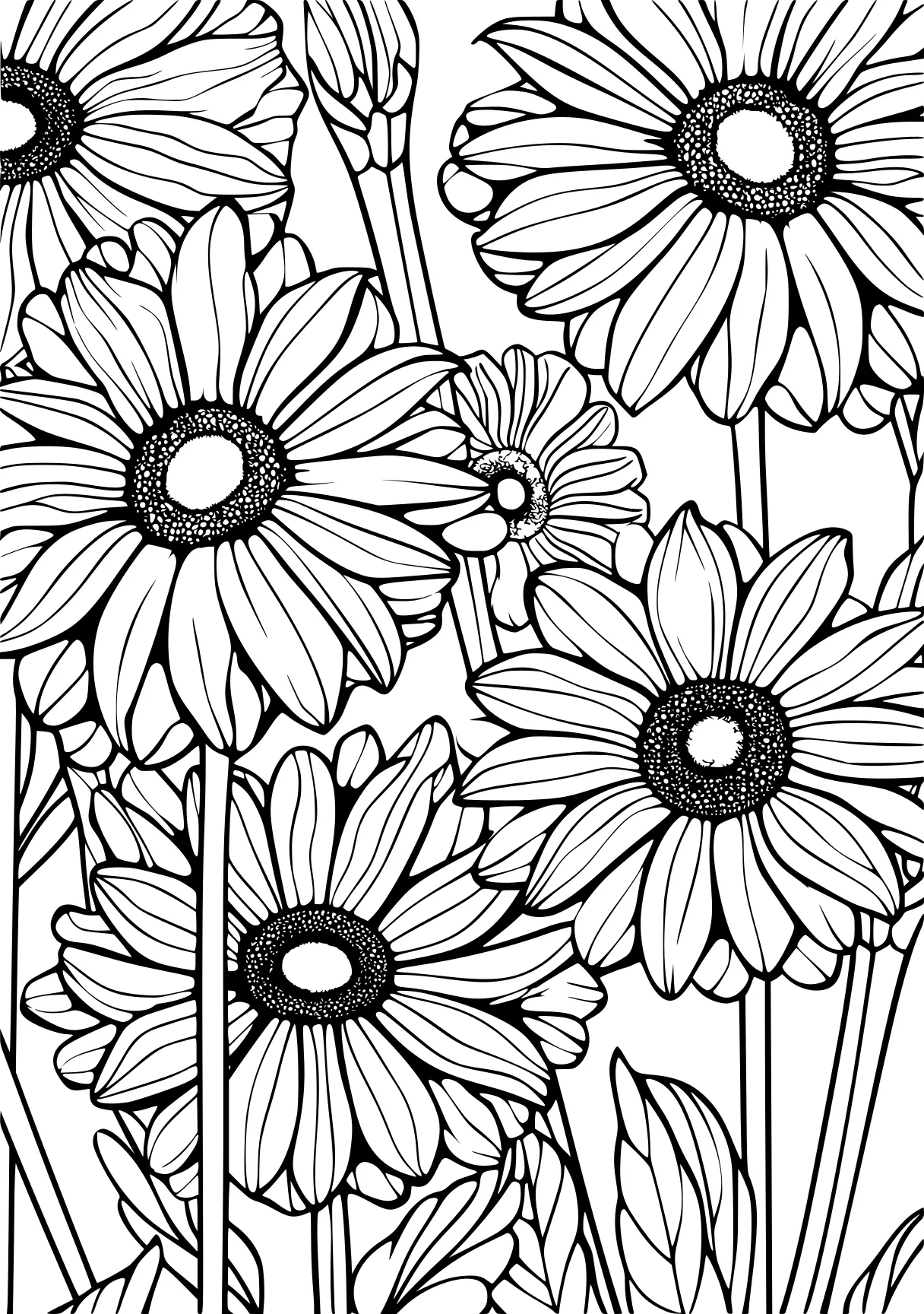 flower coloring pages, colouring, printables, daisy, free page downloads