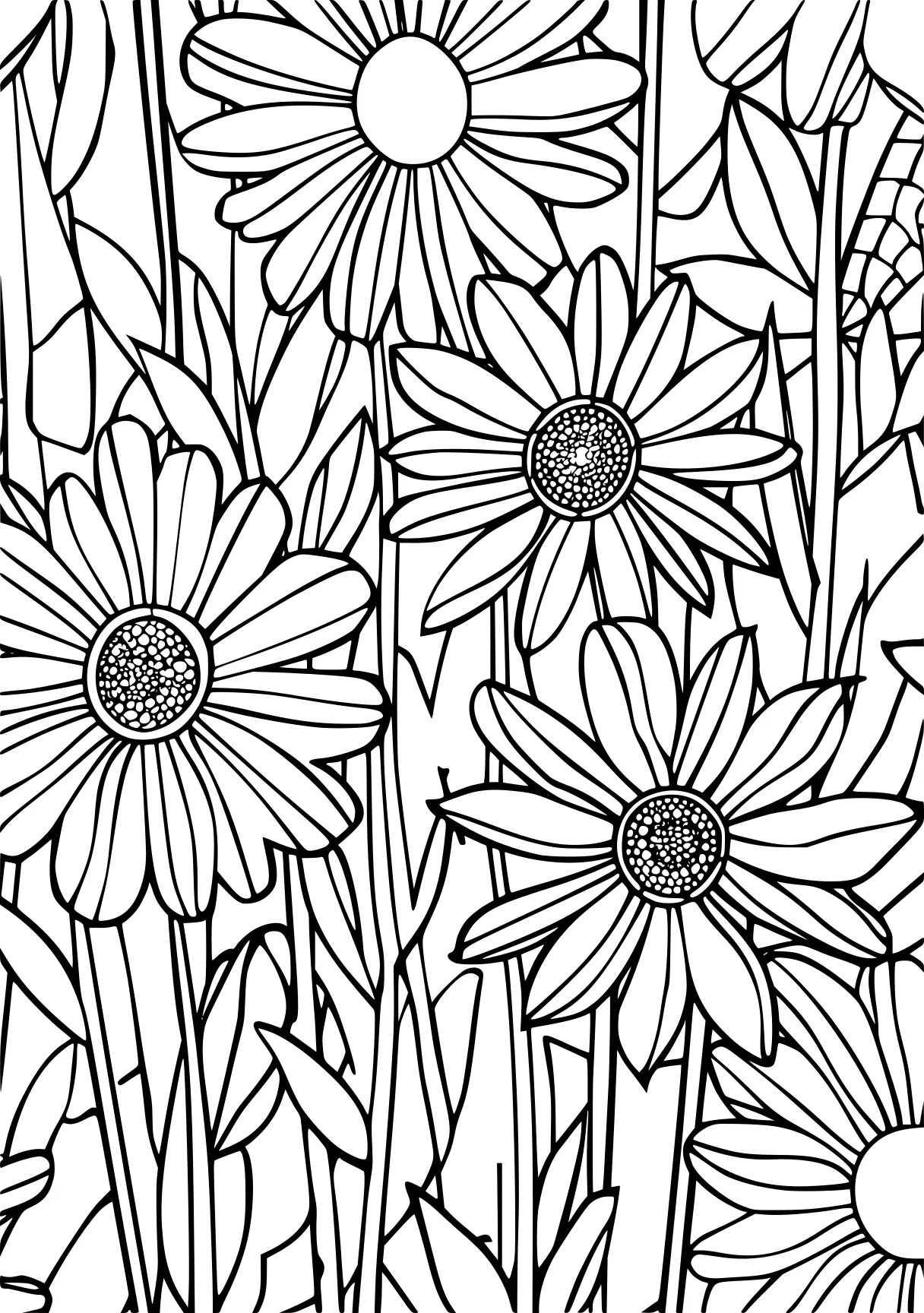 coloring sheets for adults, pattern, colouring, sunflower, free page downloads