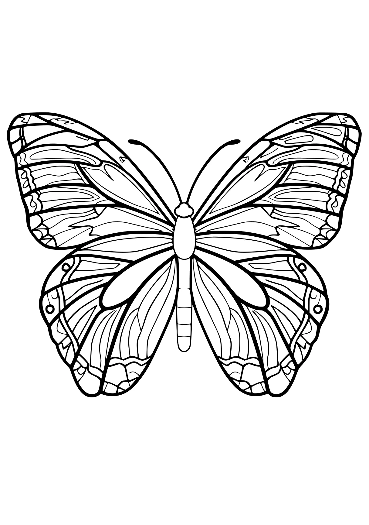 butterfly coloring sheet butterfly, butterflies, insect, free page downloads