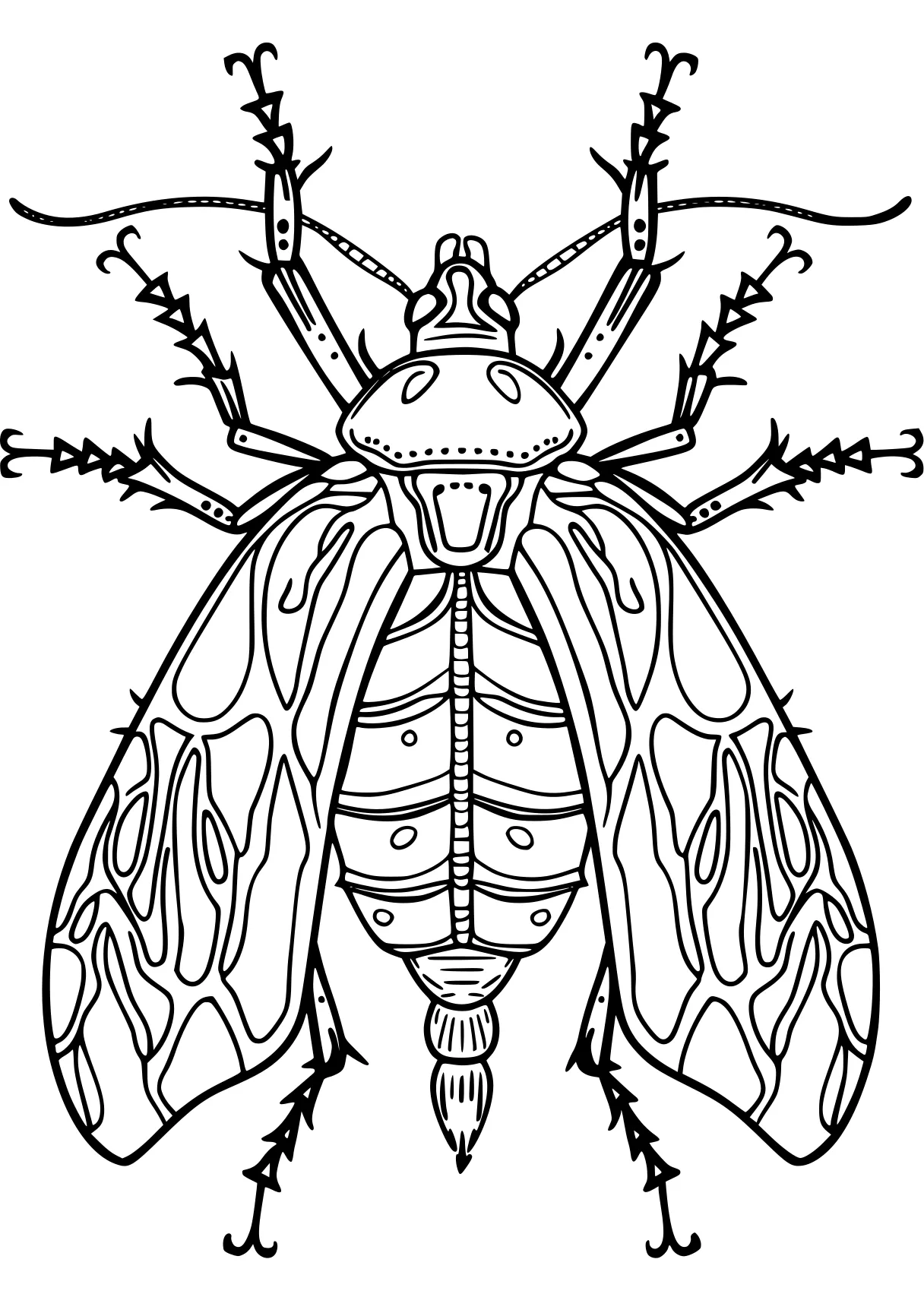 coloring pages insects insect, insects, size, adult, bee, free page downloads