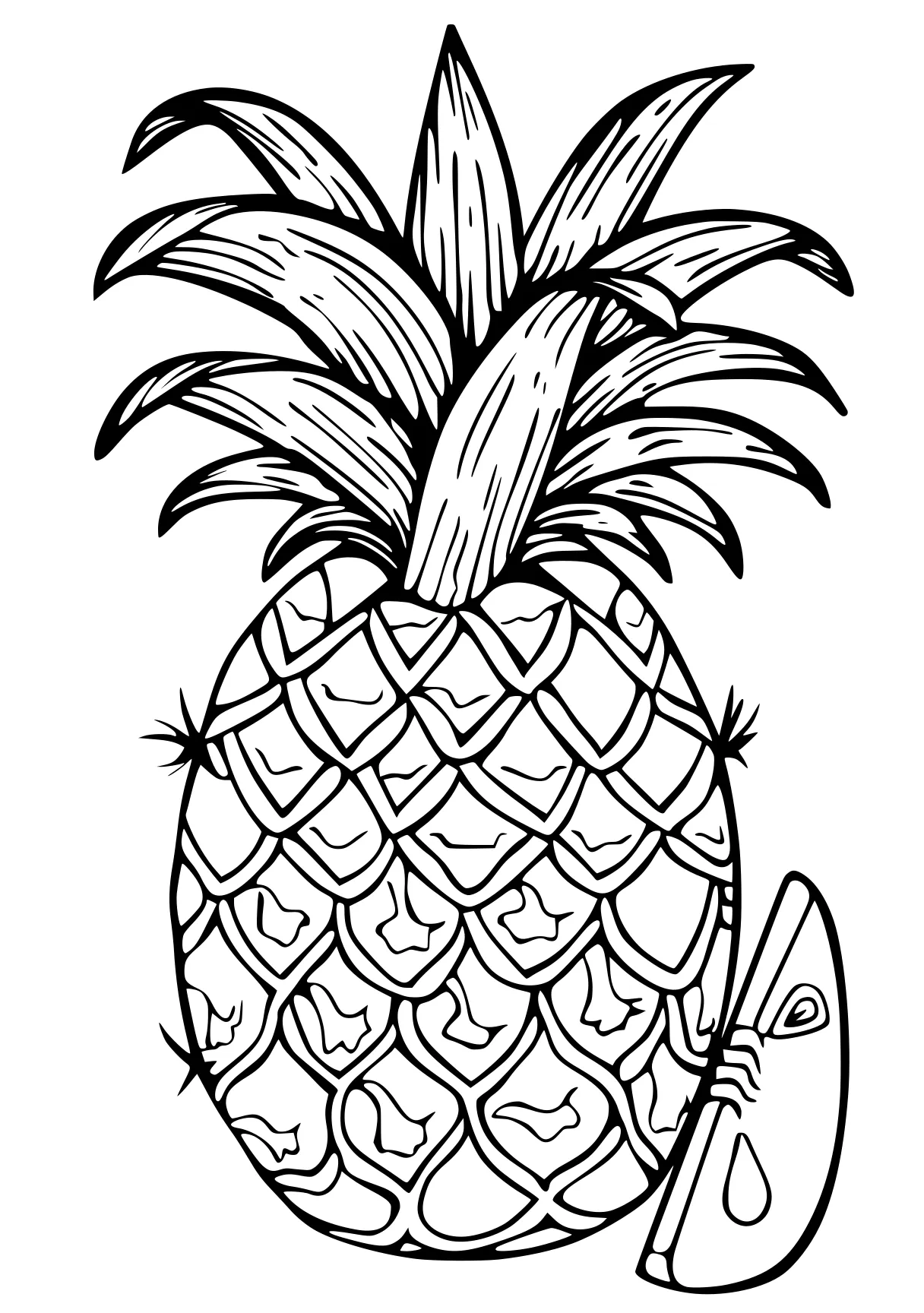 summer coloring pineapple, palm, zentangle, fruit, illustrator, free page downloads