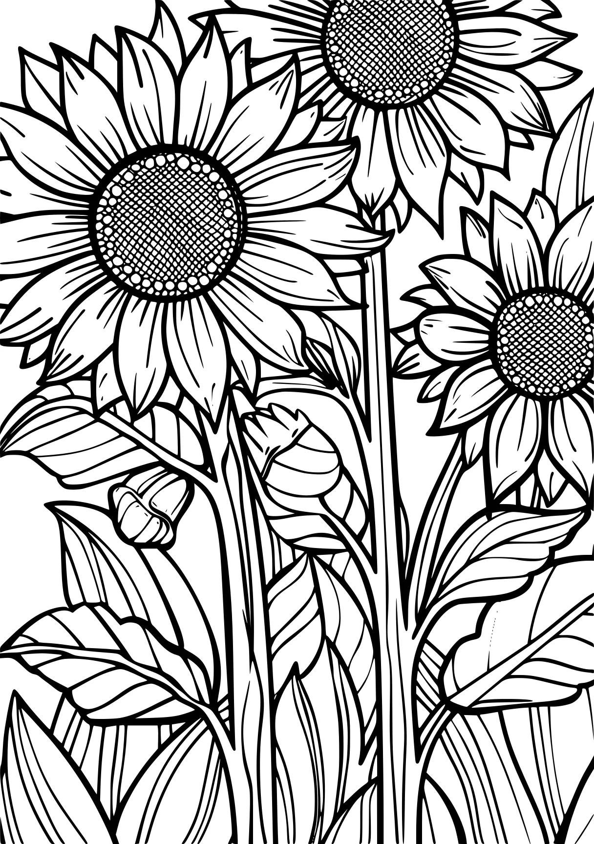 printable color by number for adults, sunflower, colouring, zentangle, free coloring page downloads