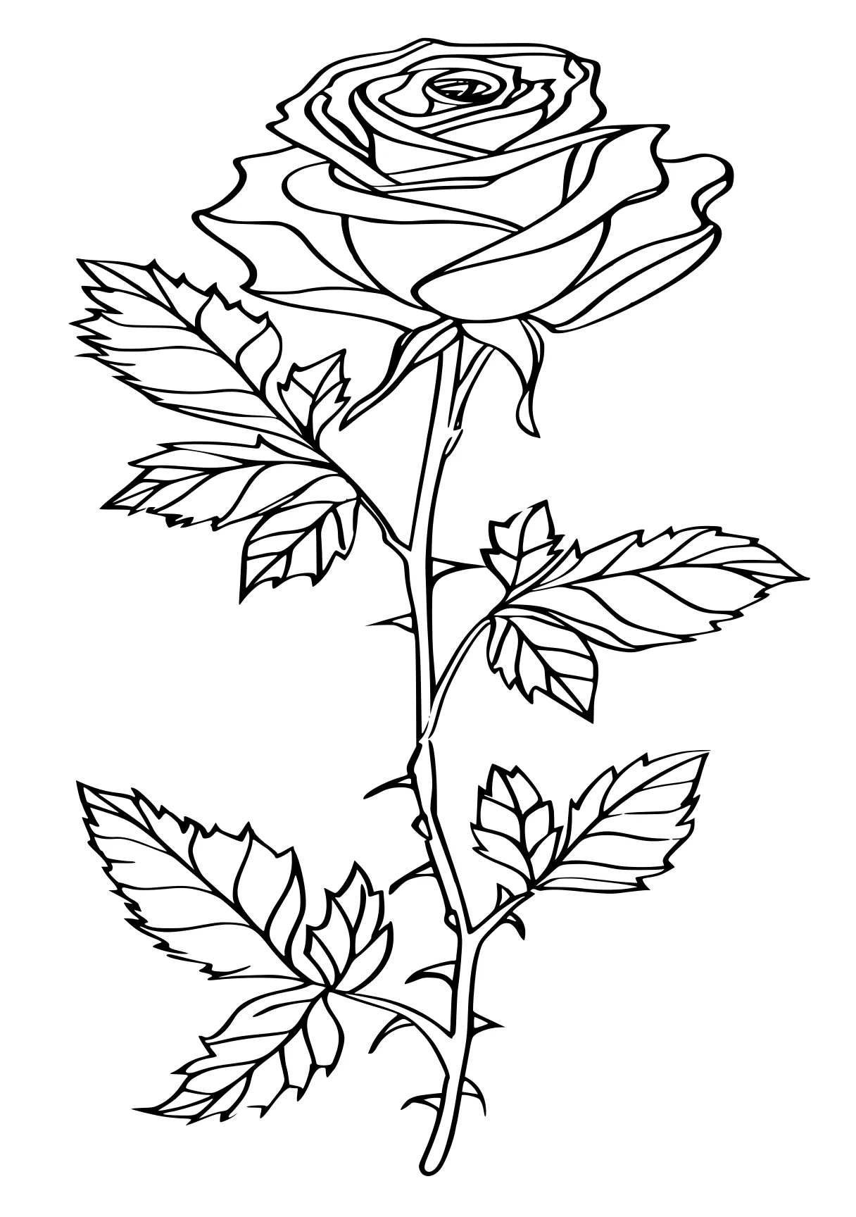 rose coloring pages, rosa, rose, plant, free page downloads