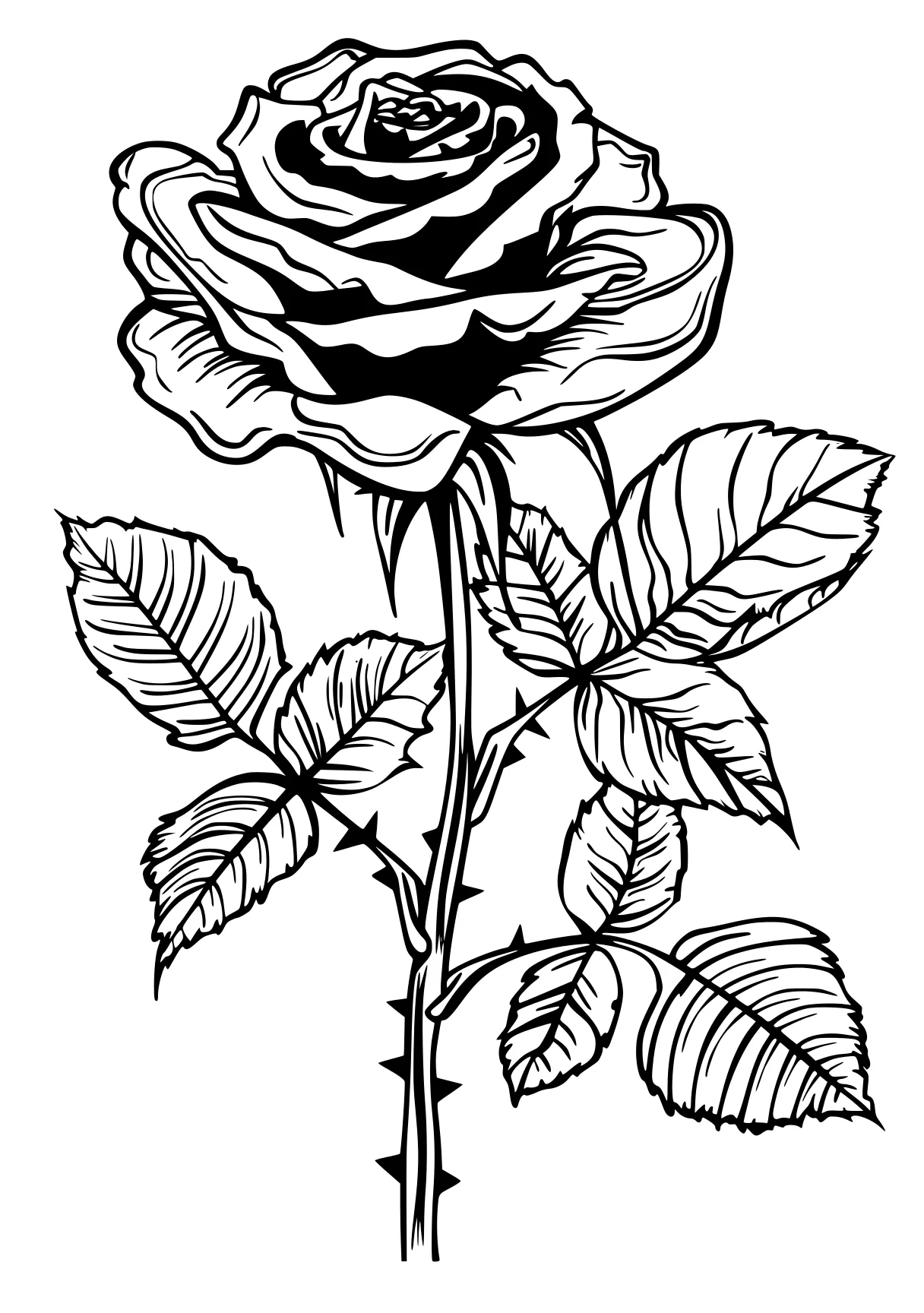 rose coloring pages rosa, rose, flower, free page downloads