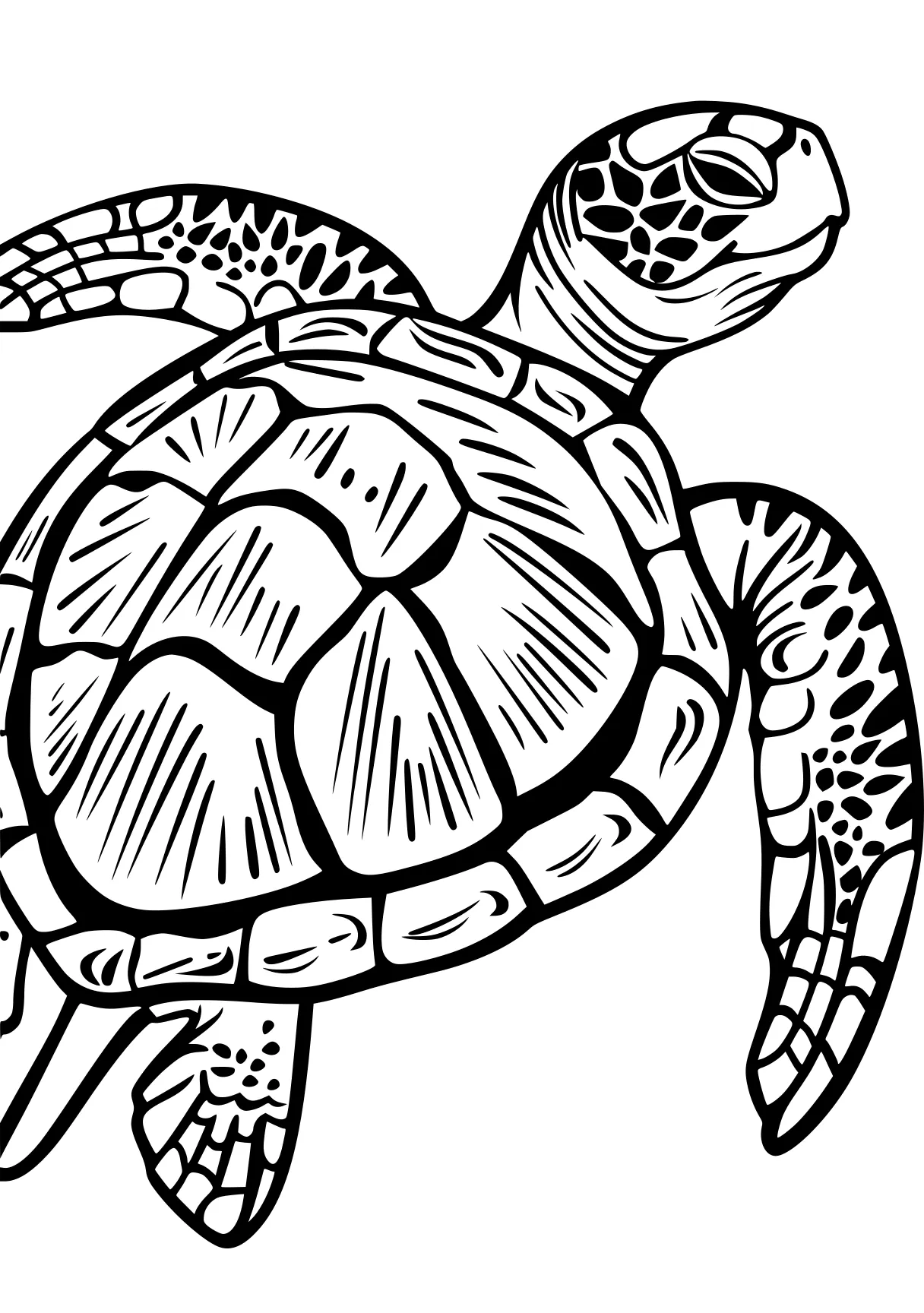 turtle coloring pages turtle, turtles, squirtle, patrol, illustrator, free page downloads