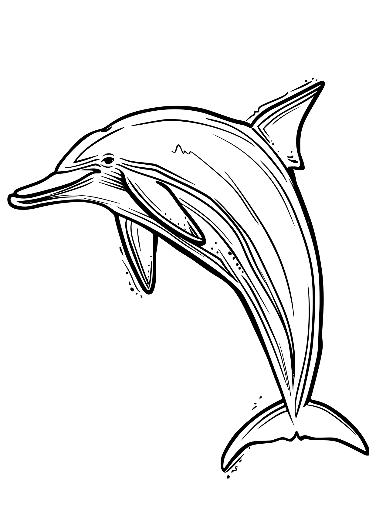 dolphin coloring sheet dolphin, whale, orca, whales, shark, free page downloads