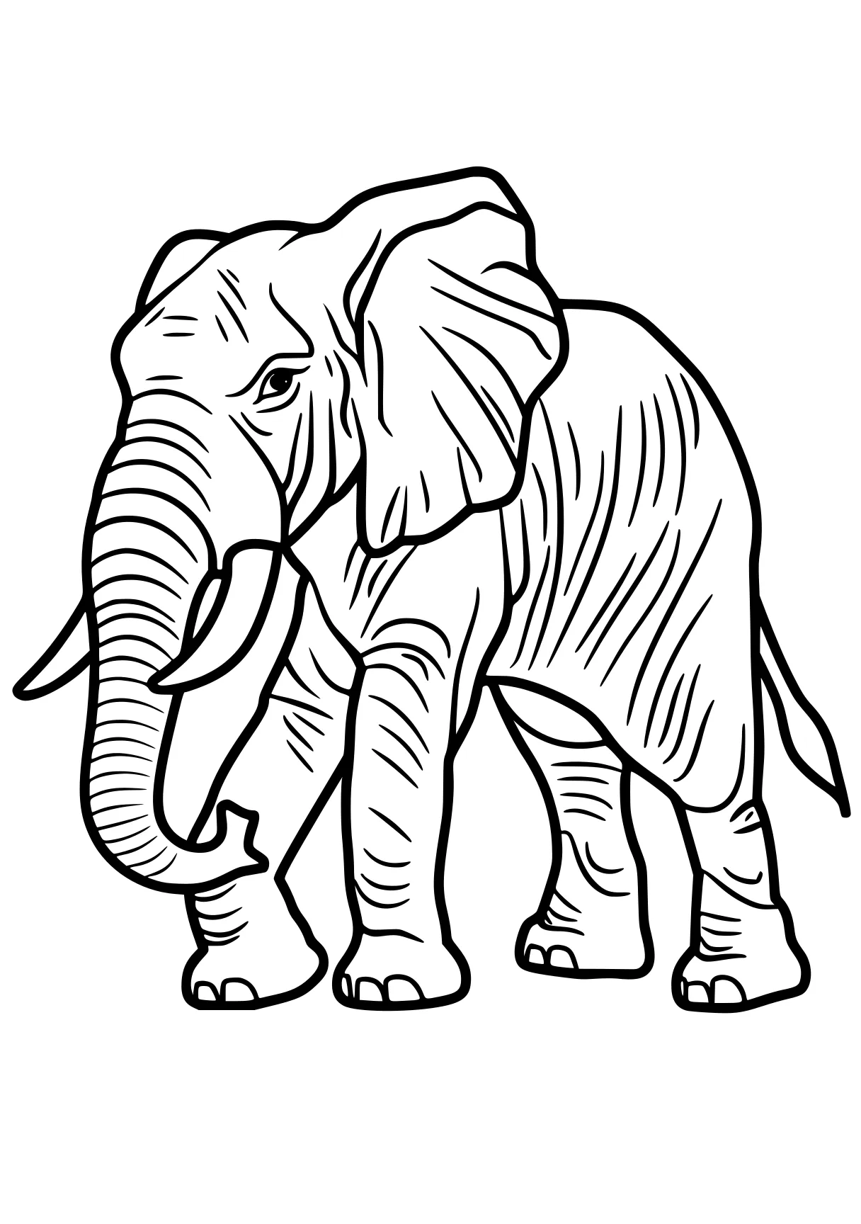 elephant coloring sheet elephant, dumbo, size, zooba, illustrator, free page downloads