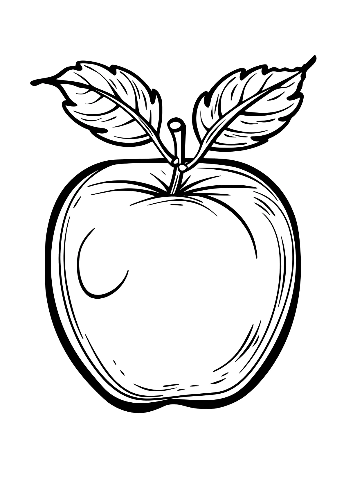 apple coloring page apple, acorn, ornament, illustrator, vegetable, free downloads