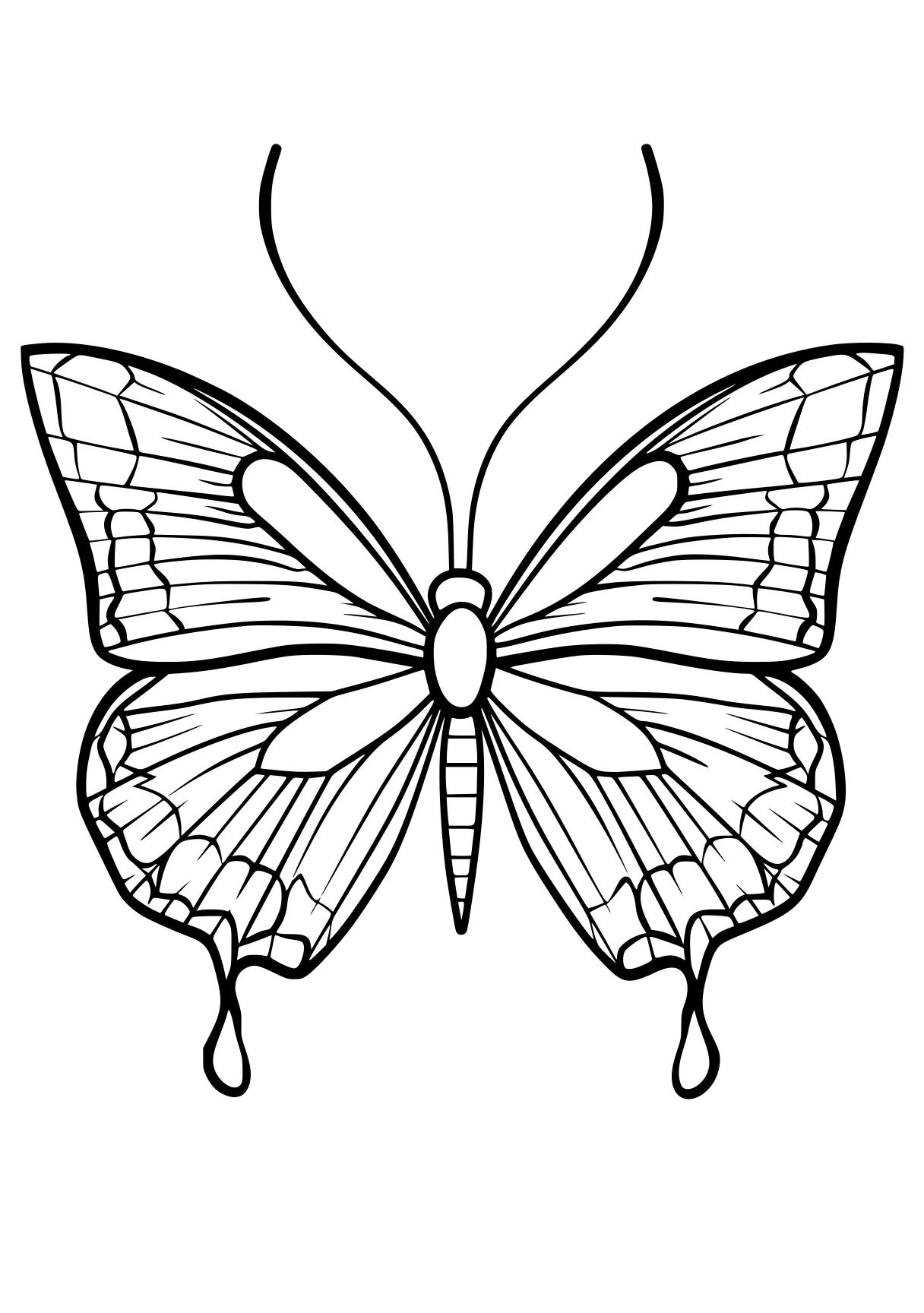 butterfly coloring sheet butterfly, butterflies, insect, wings, ornament, free page downloads