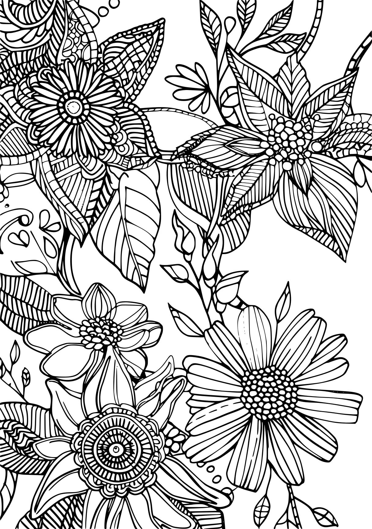 bluey coloring sheet, zentangle, colouring, printables, free page downloads