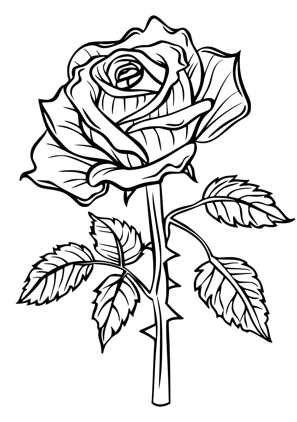 rose coloring pages rose, rosa, design, free page downloads