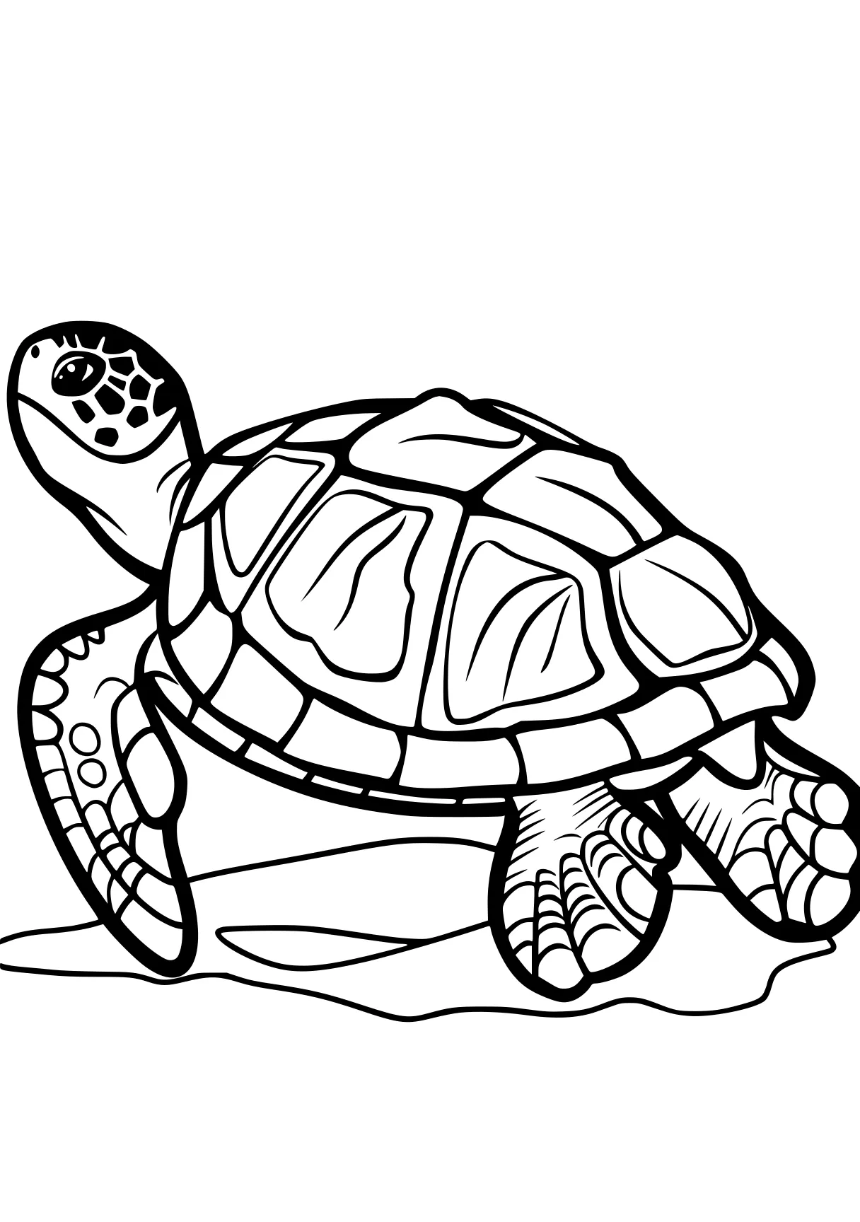 turtle coloring sheet turtle, turtles, illustrator, patrol, free page downloads