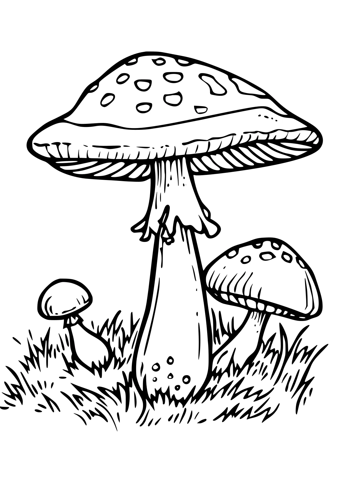 mushroom coloring page mushroom, size, illustrator, free downloads