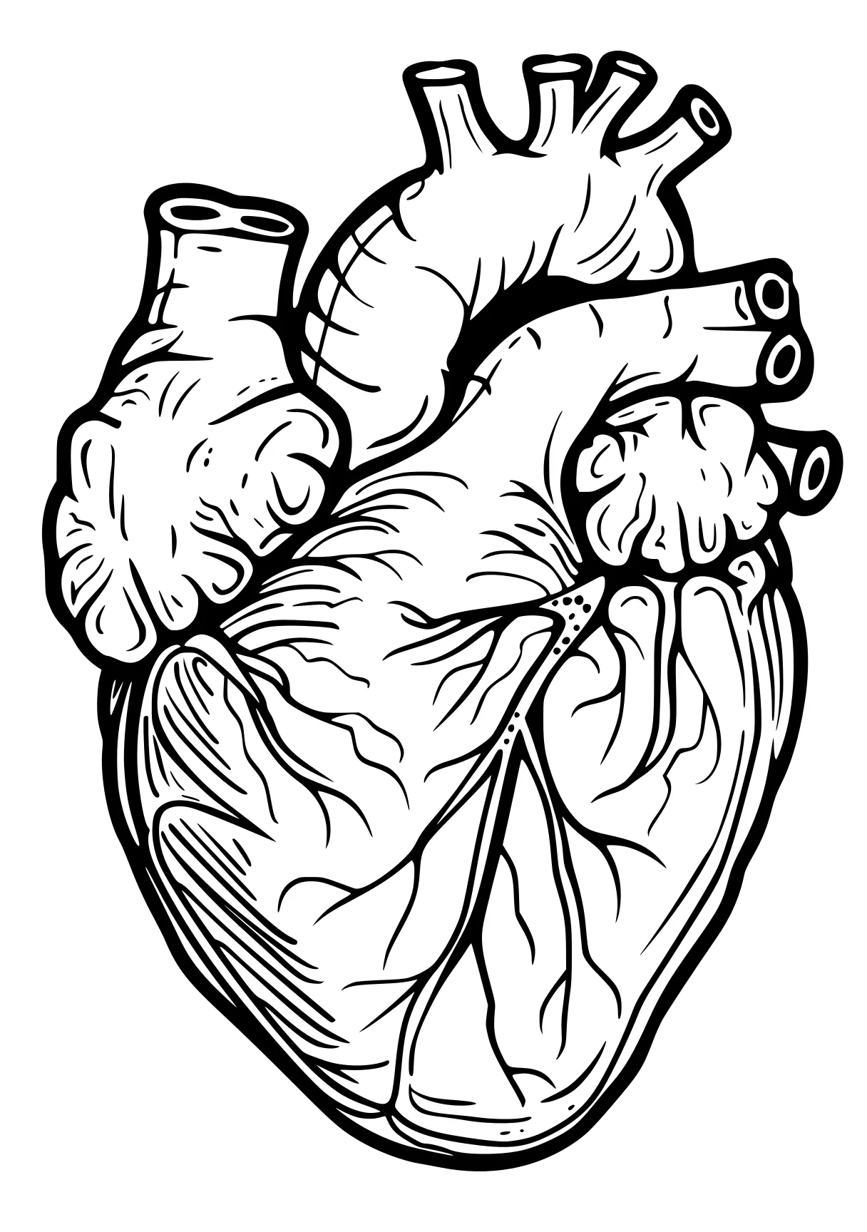 heart coloring pages heart, hand, iheartcraftythings, anatomy, printable, free page downloads