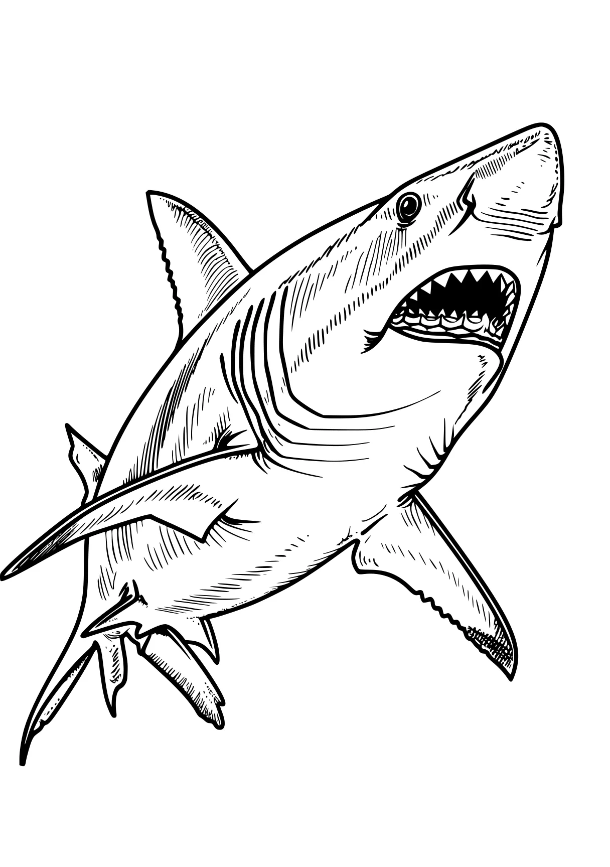 shark coloring page megalodon, shark, sharks, fish, mosasaurus, free downloads