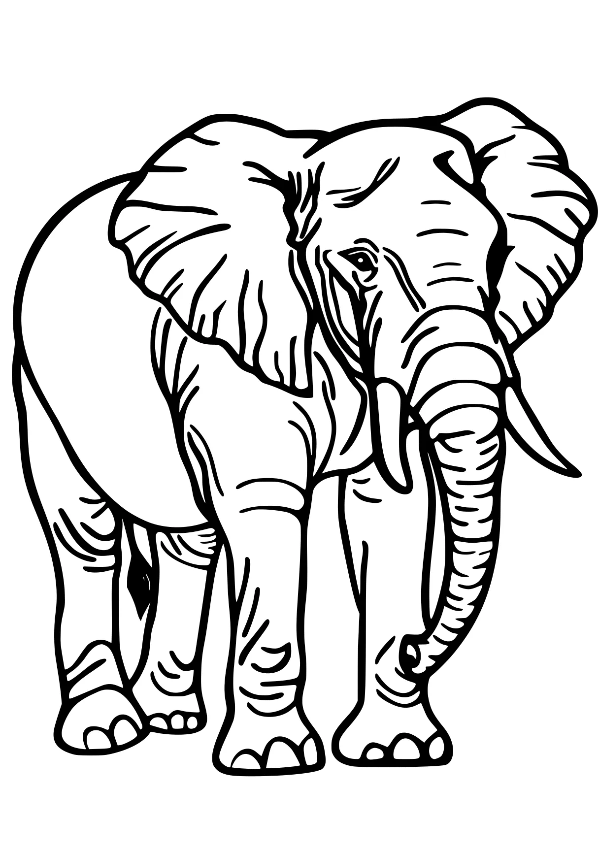 elephant coloring sheet elephant, size, dumbo, illustrator, zooba, free page downloads