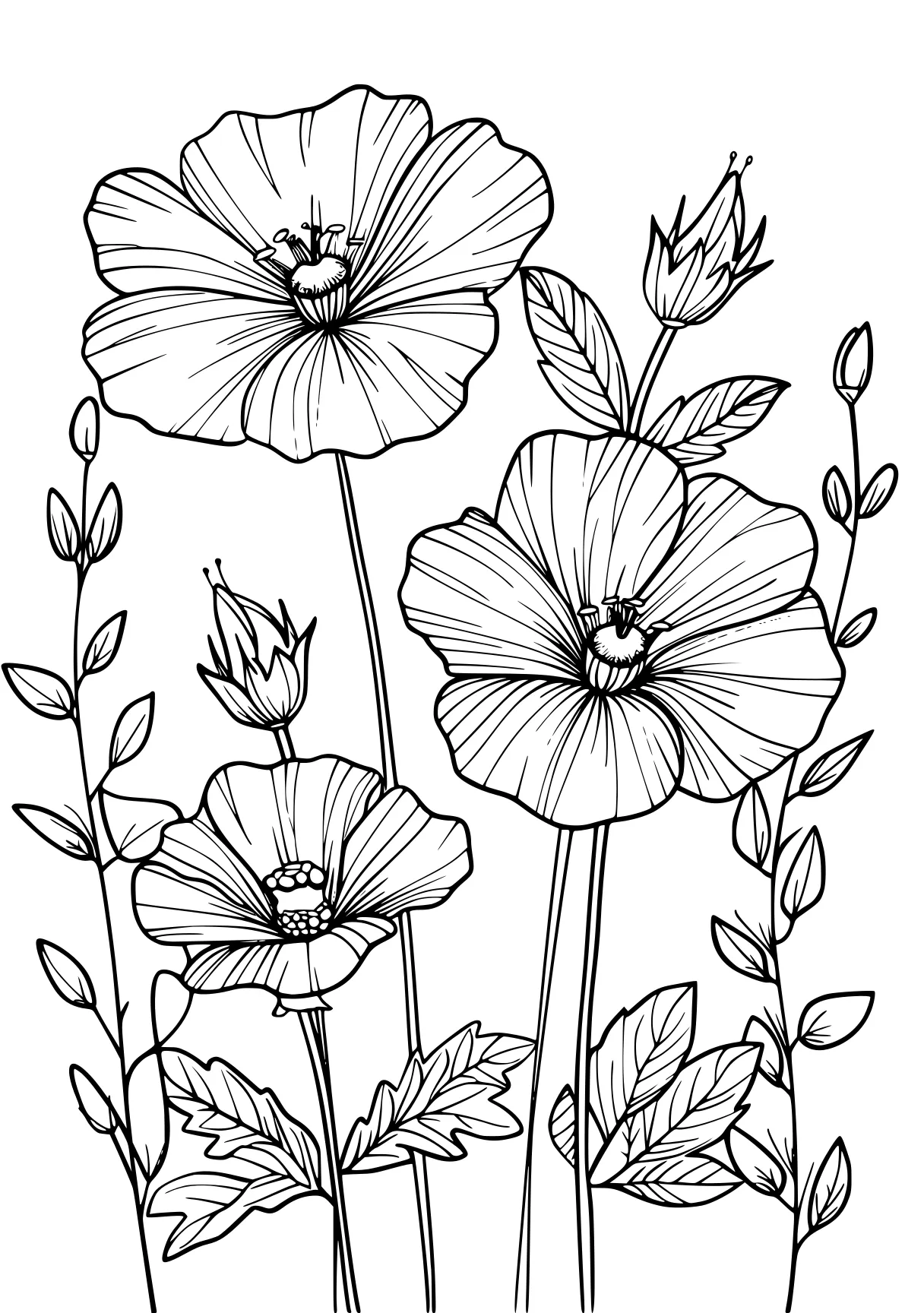 coloring pages printable flowers, flowers, poppy, colouring, free page downloads