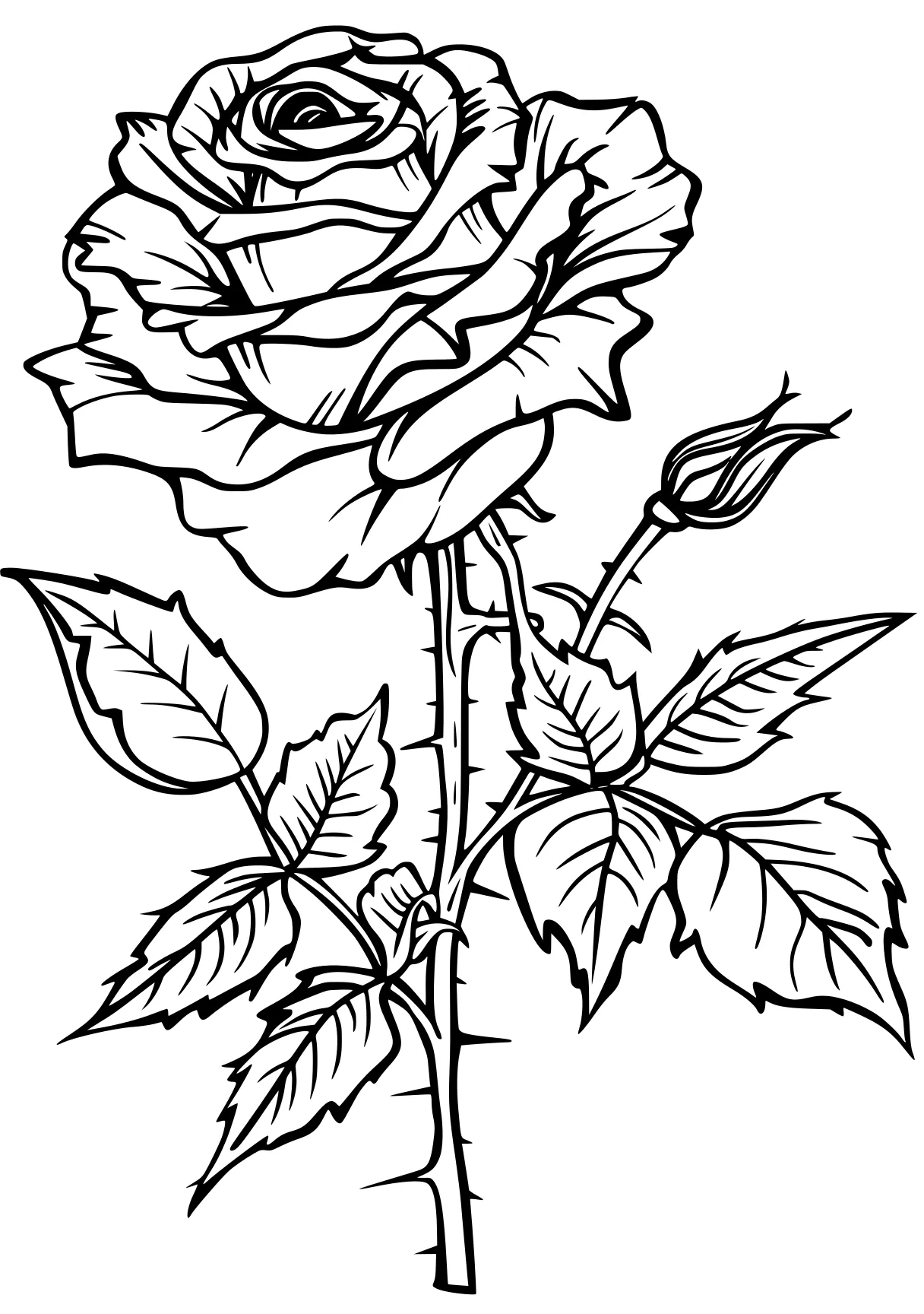 rose coloring pages, rosa, rose, plant, free page downloads