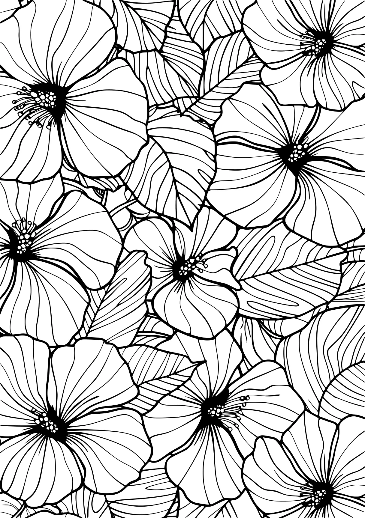 floral coloring pages pattern, zentangle, patterns, intricate, free page downloads