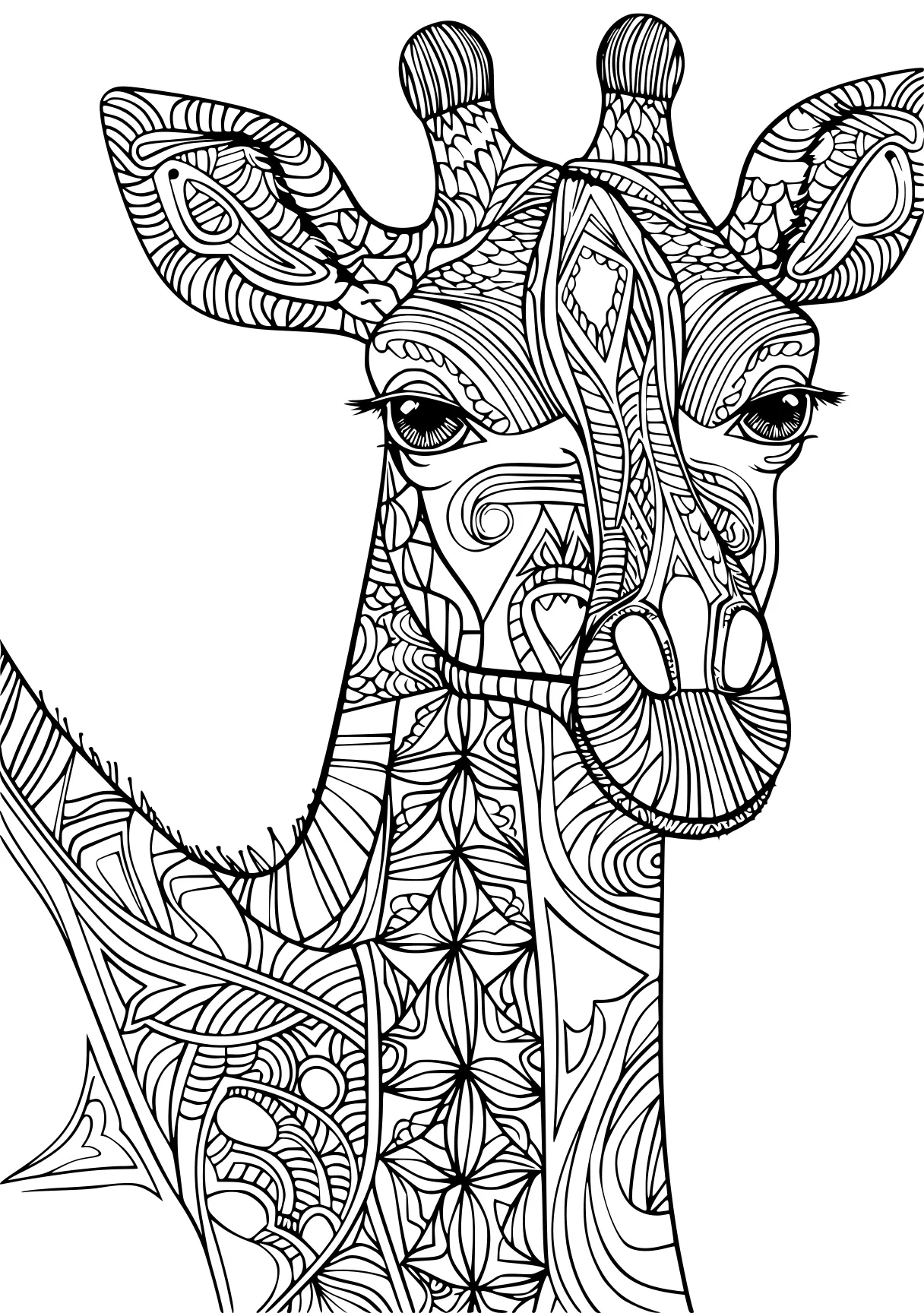 adult coloring pages deer, giraffe, zentangle, free page downloads