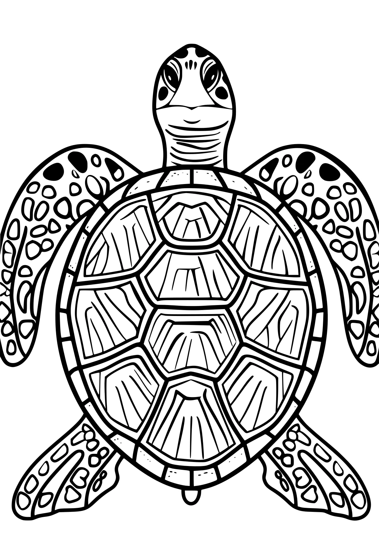 turtle coloring pages turtle, squirtle, turtles, free page downloads