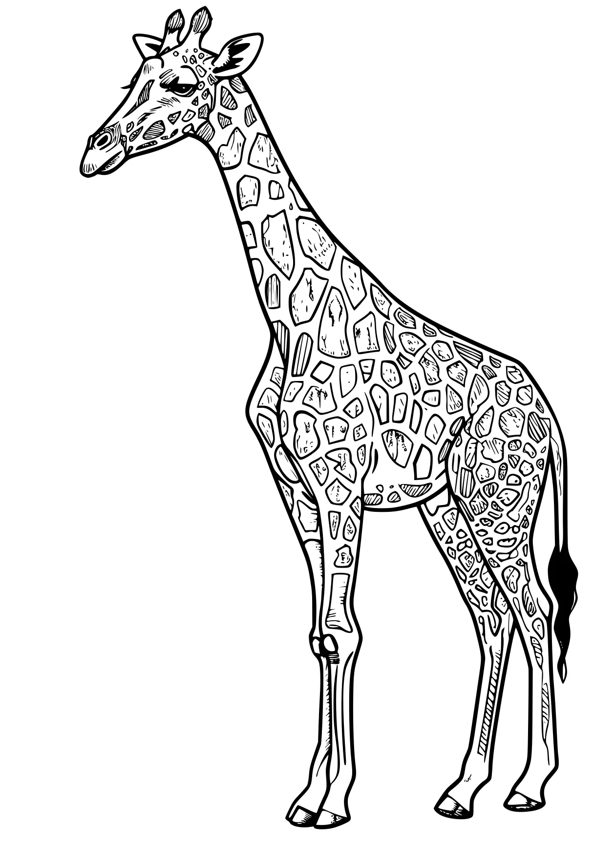 giraffe coloring pages giraffe, llama, brachiosaurus, camel, deer, free page downloads