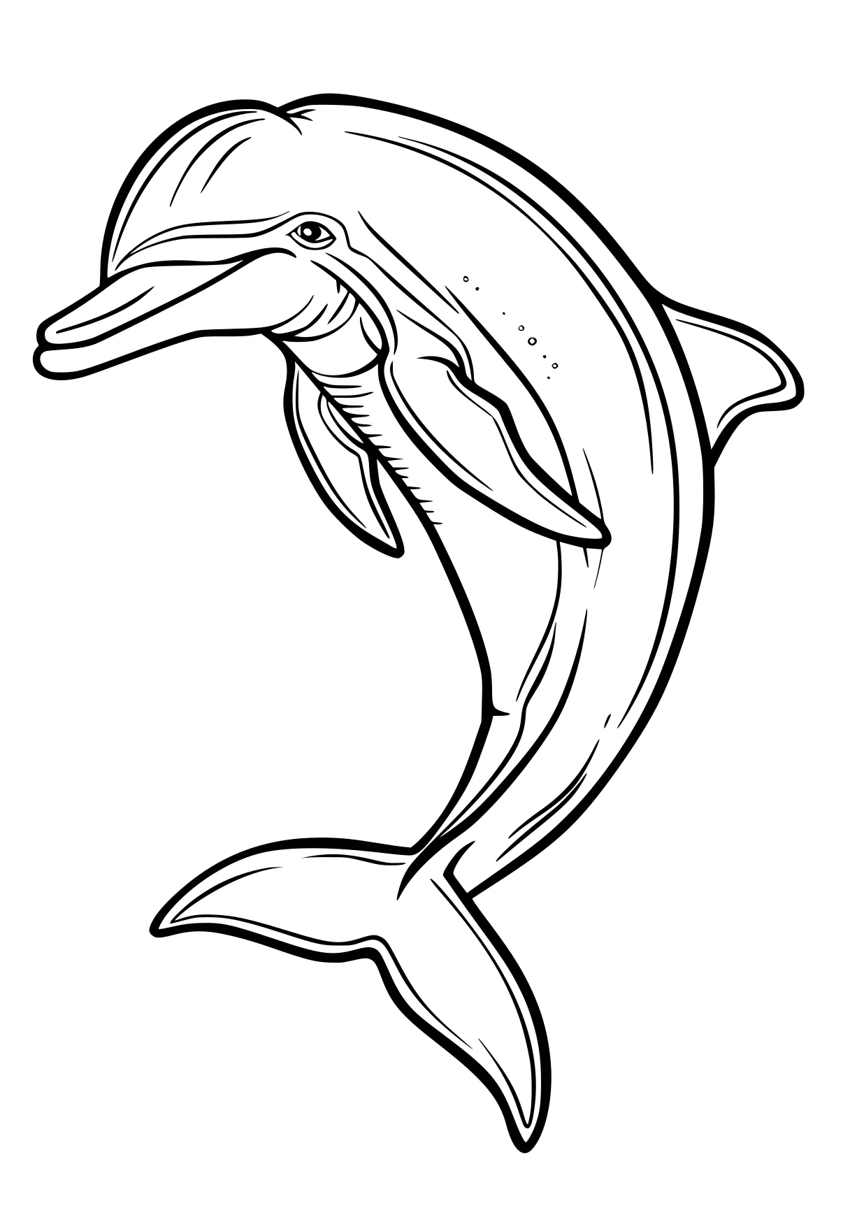 dolphin coloring pages dolphin, whale, whales, orca, fish, free page downloads