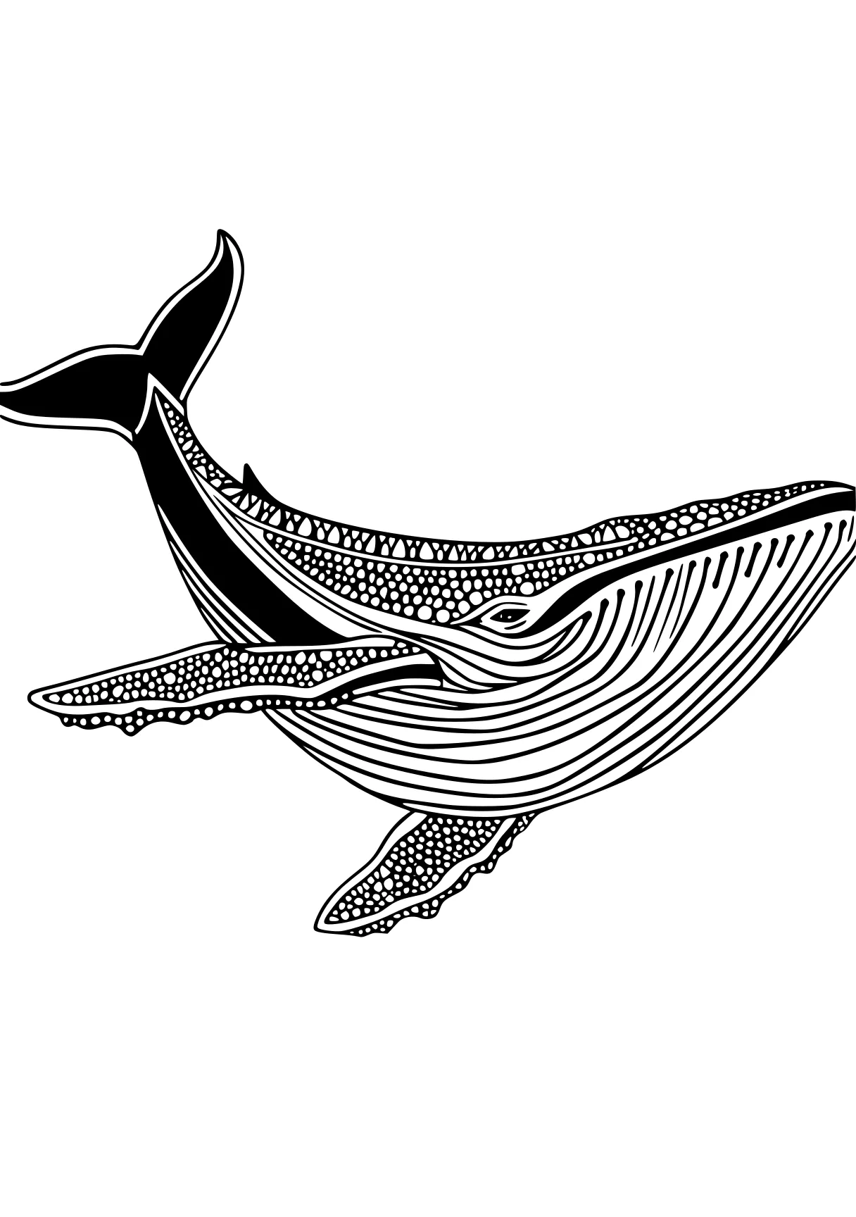 whale coloring pages orca, whale, whales, dolphin, mosasaurus, free page downloads