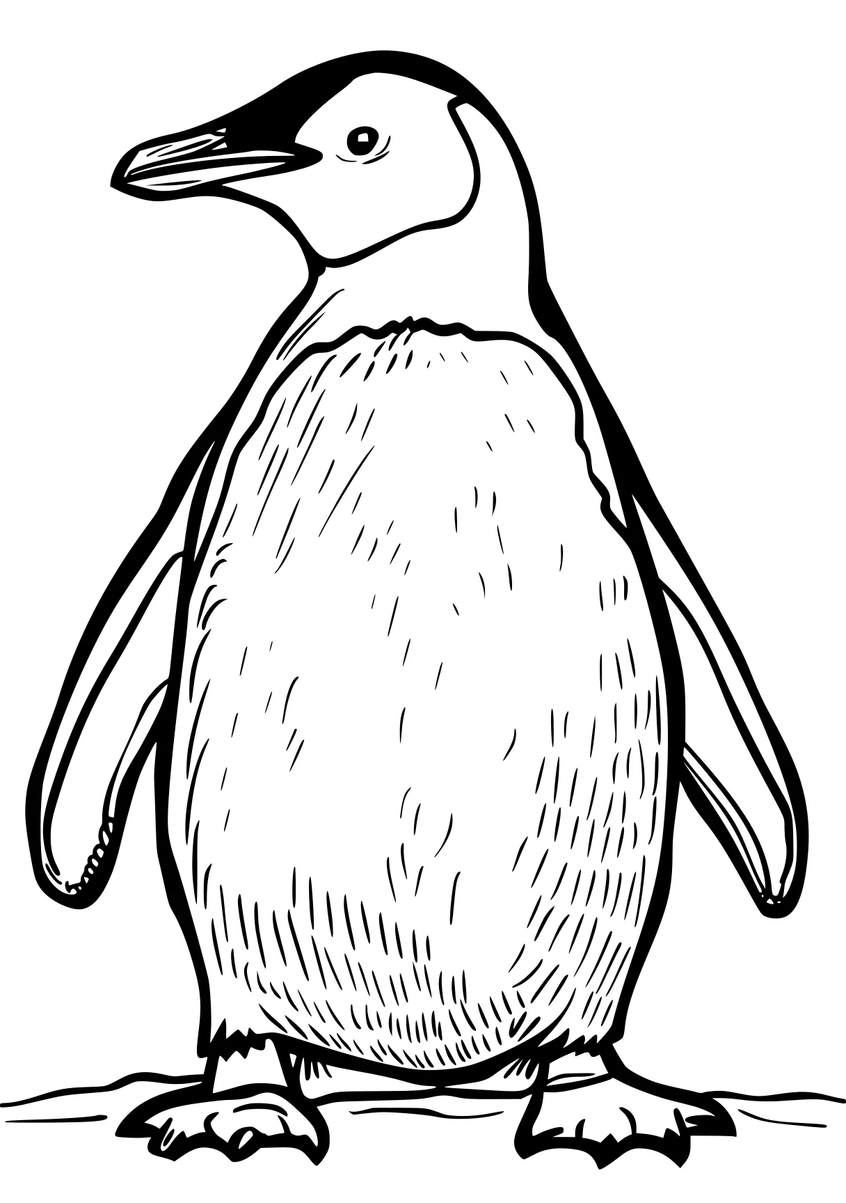 penguin coloring pages penguin, size, adult, narwhal, orca, free page downloads