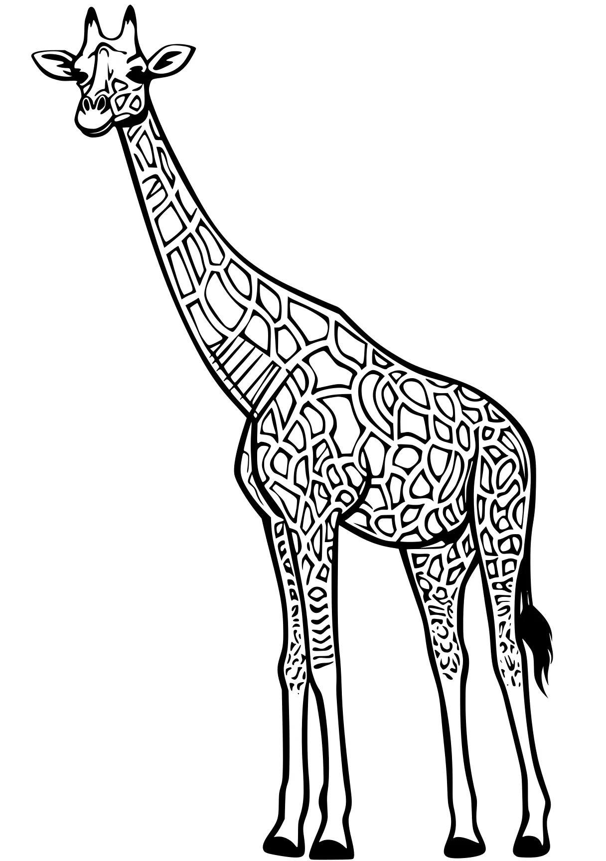 giraffe coloring pages giraffe, brachiosaurus, llama, camel, safari, free page downloads