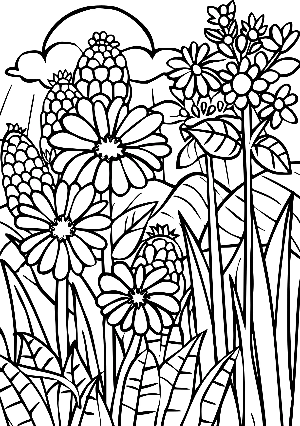 free adult coloring, zentangle, colouring, pattern, page downloads