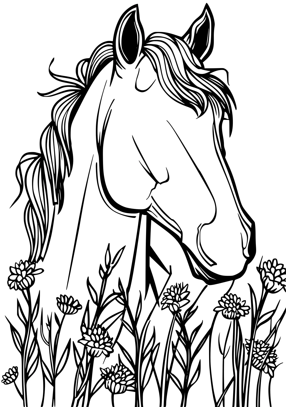 horse coloring sheet horse, unicorn, pony, caticorn, pegasus, free page downloads