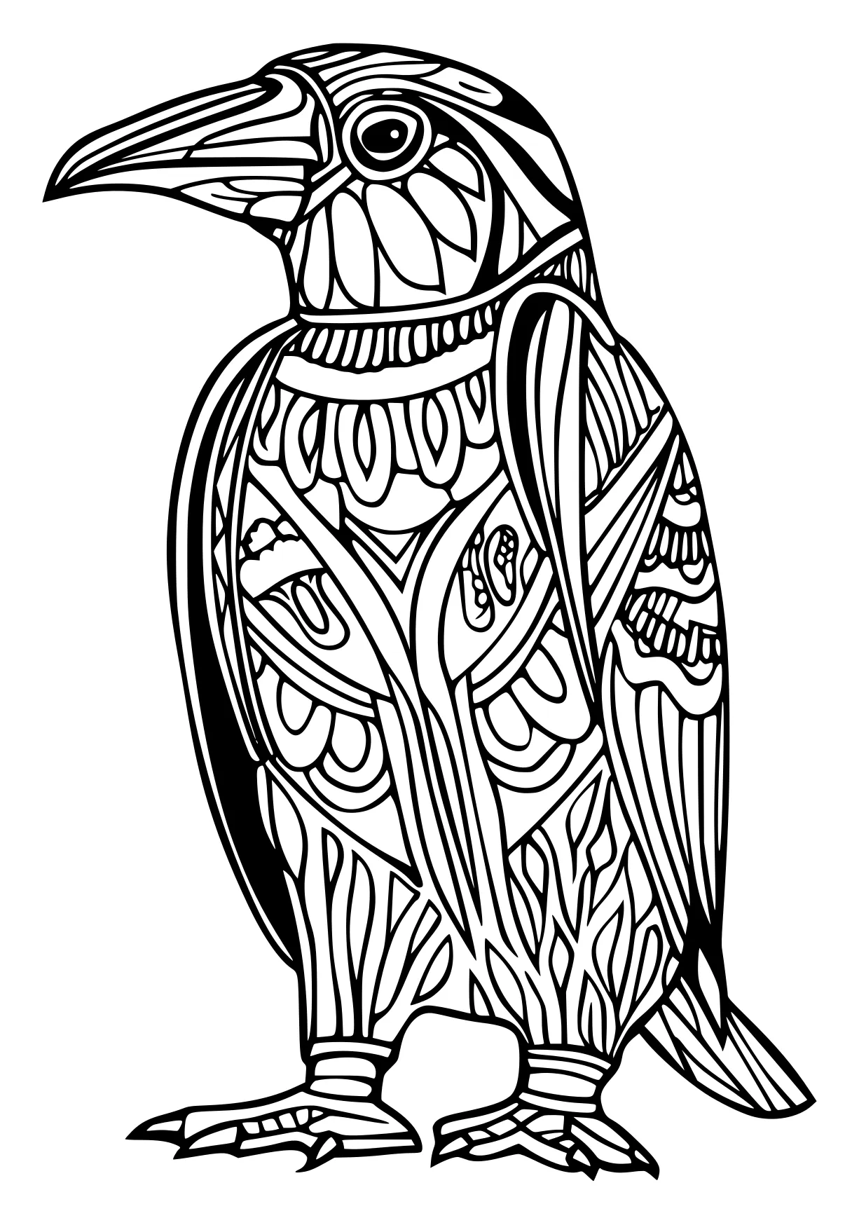 coloring pages online owl, illustrator, bird, free page downloads