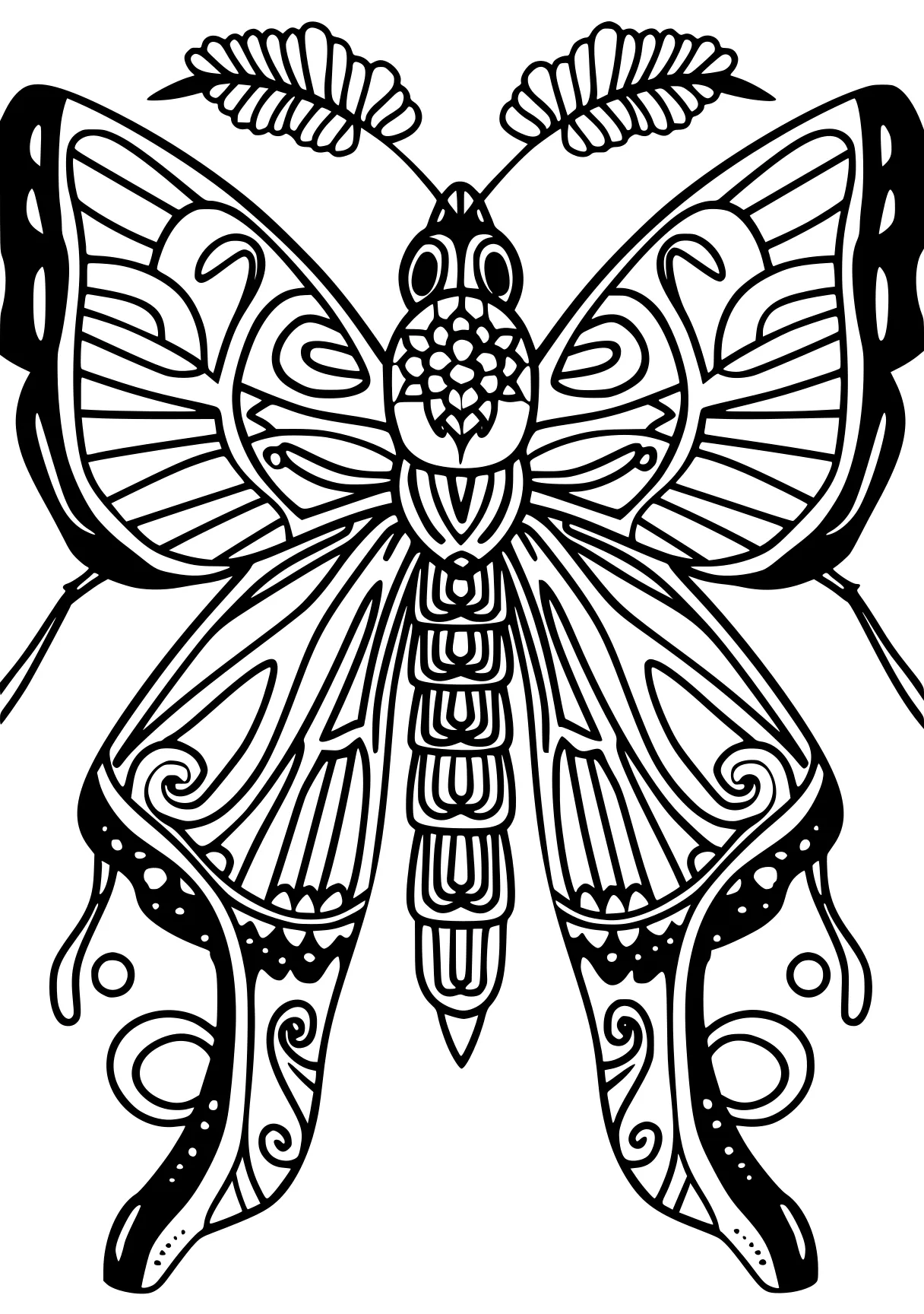 coloring pages insects butterfly, butterflies, zentangle, free page downloads