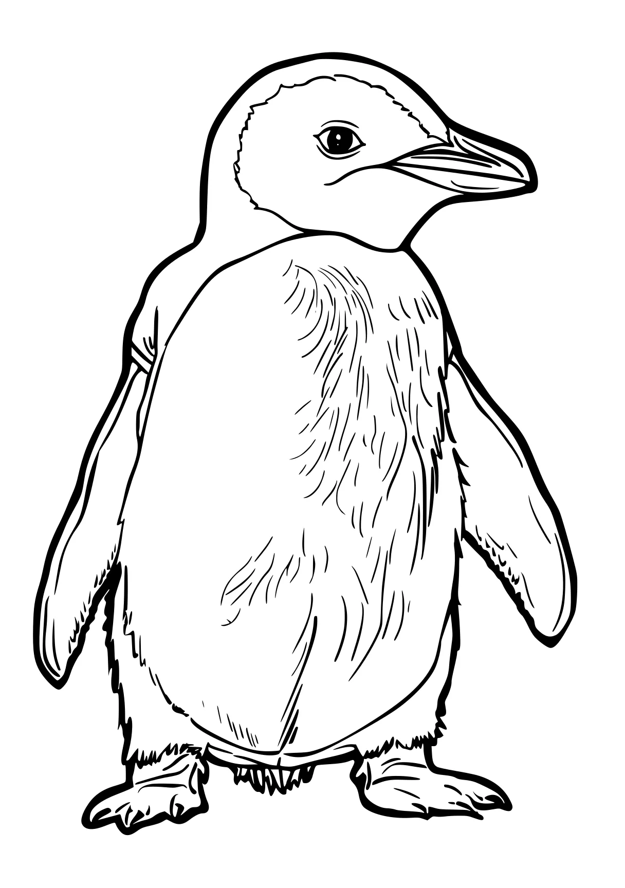 penguin coloring pages penguin, toucan, bird, adult, therizinosaurus, free page downloads