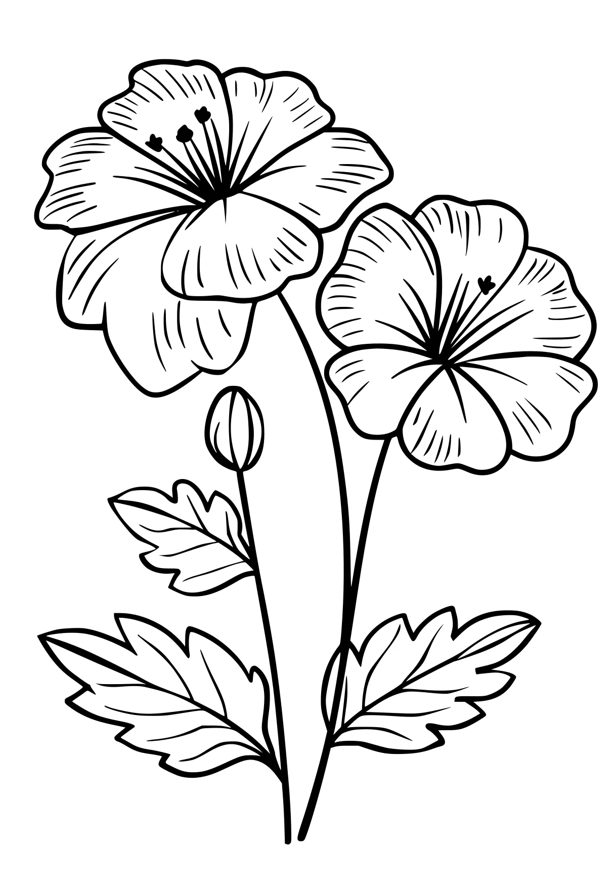 a flower coloring pages flower, flowers, plant, free page downloads