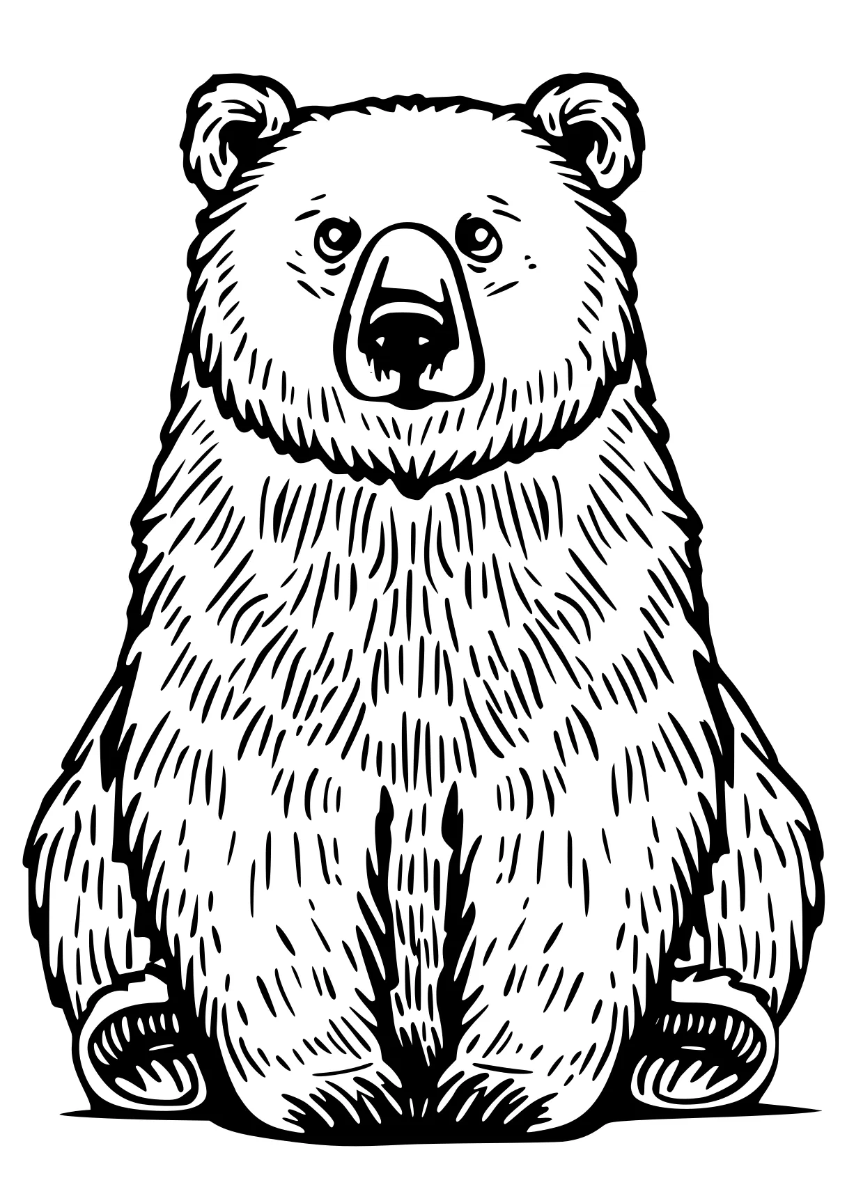 bear coloring page bear, bears, polar, groundhog, koala, free downloads