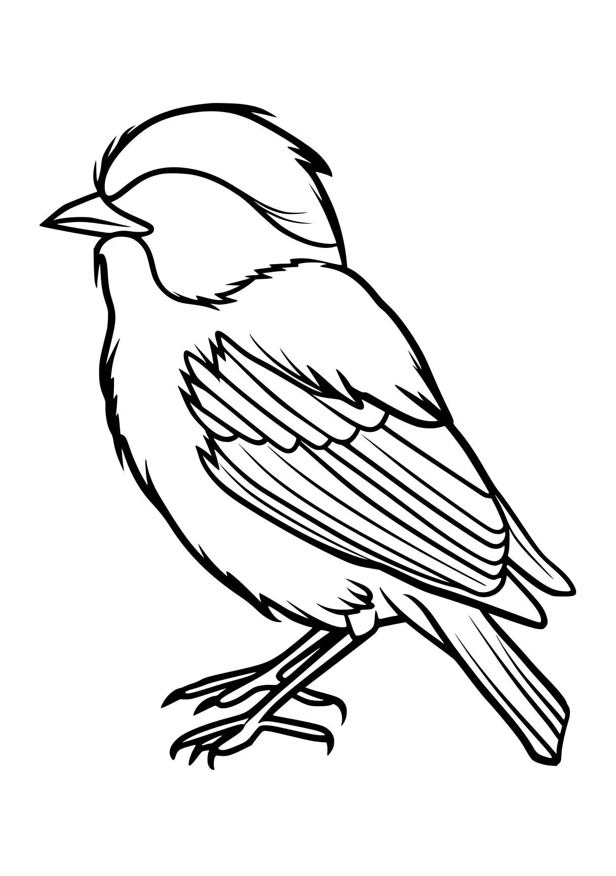 bird coloring pages for kids, KIDS page kids style of book, empty background, super thick black vector lines, and white, Black-and-white Bold Outlined Thick-lined Flat 2D, Simple, Clean, Cartoonish, Unfilled, Solid, Playful  shading shadow text fonts letters watermark words typography slogans strokes sketch signature gray grey dither dithering grayscale 70:99