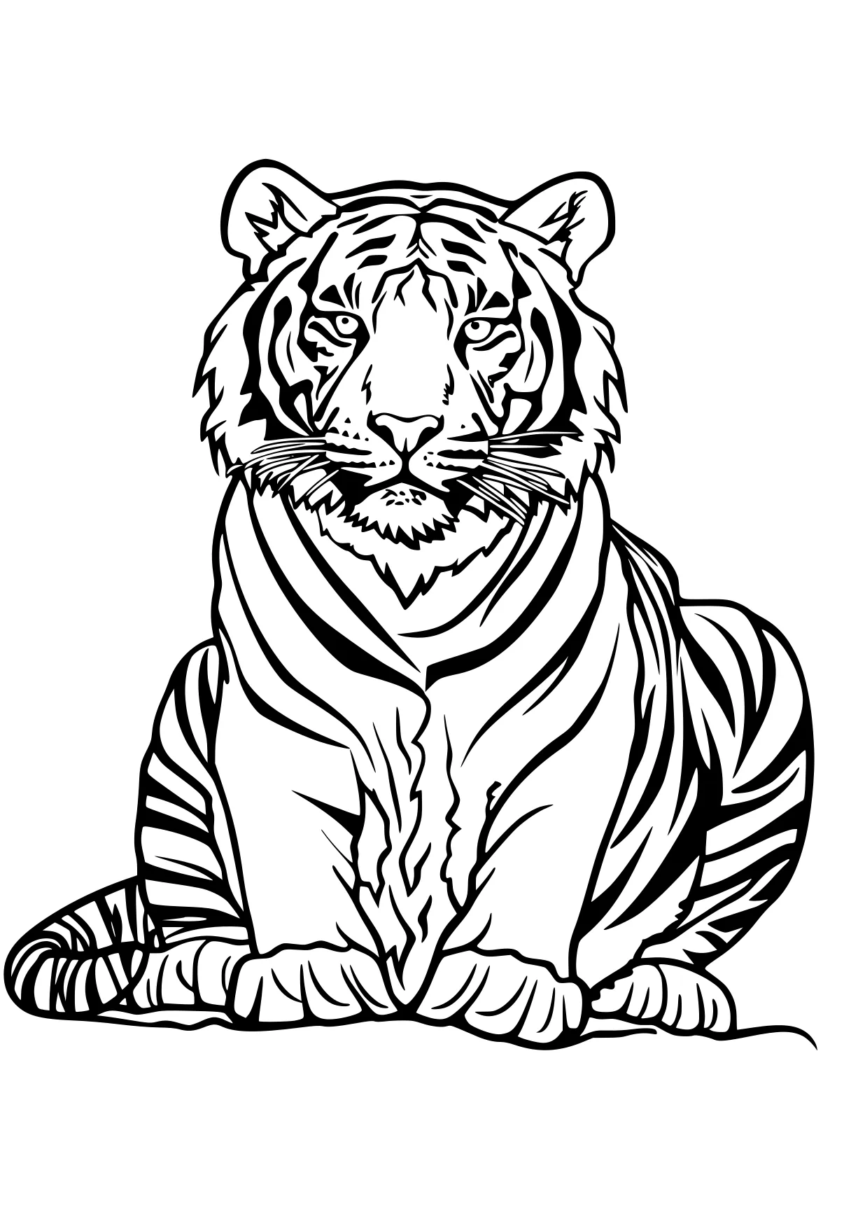 tiger coloring page tiger, zebra, illustrator, bengals, free downloads