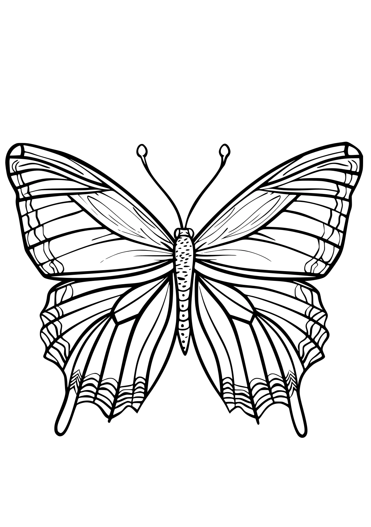 butterfly coloring butterfly, insect, adult, butterflies, insects, free page downloads