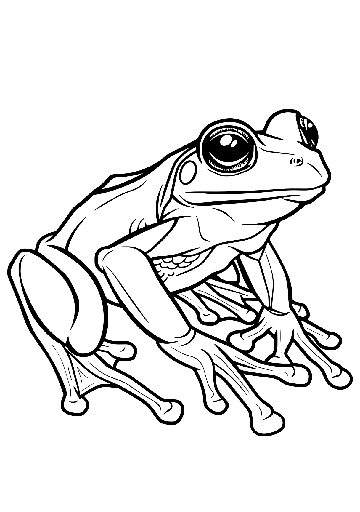 frog coloring sheet frog, toad, illustrator, leg, tayo, free page downloads